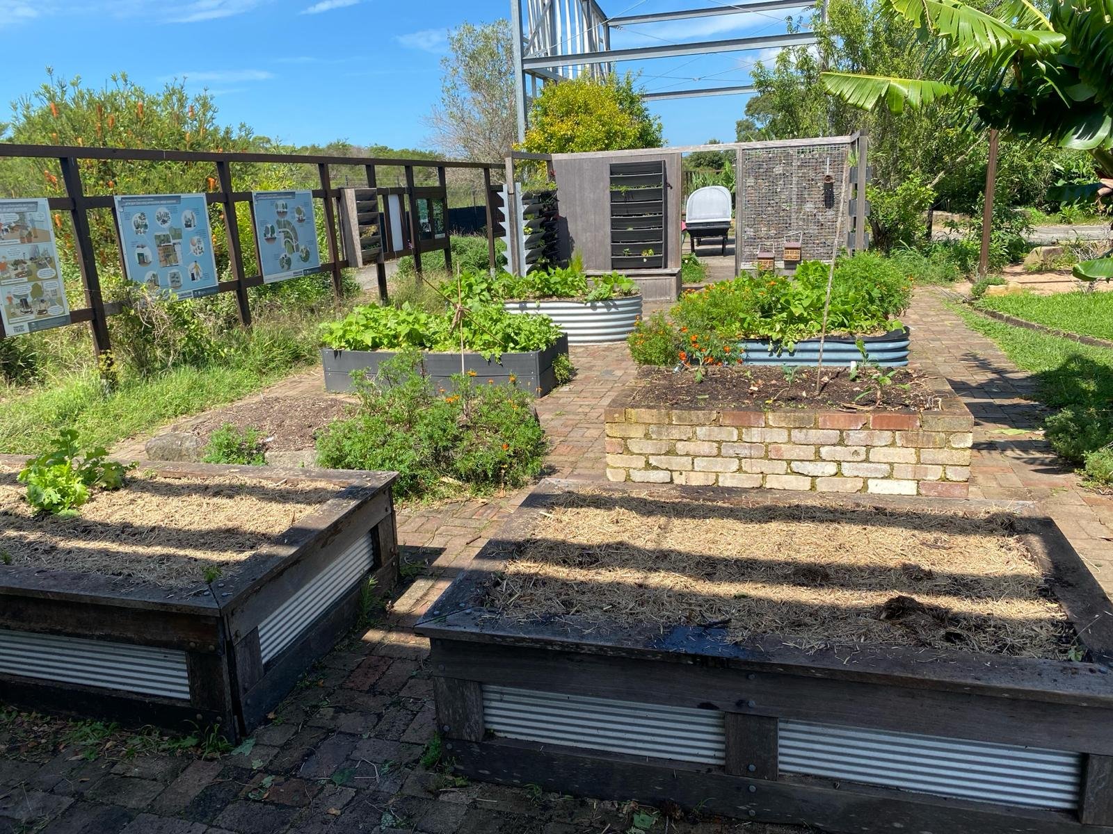 WhatsApp Image 2024-03-22 at 15.25.46_b80d5758.jpg