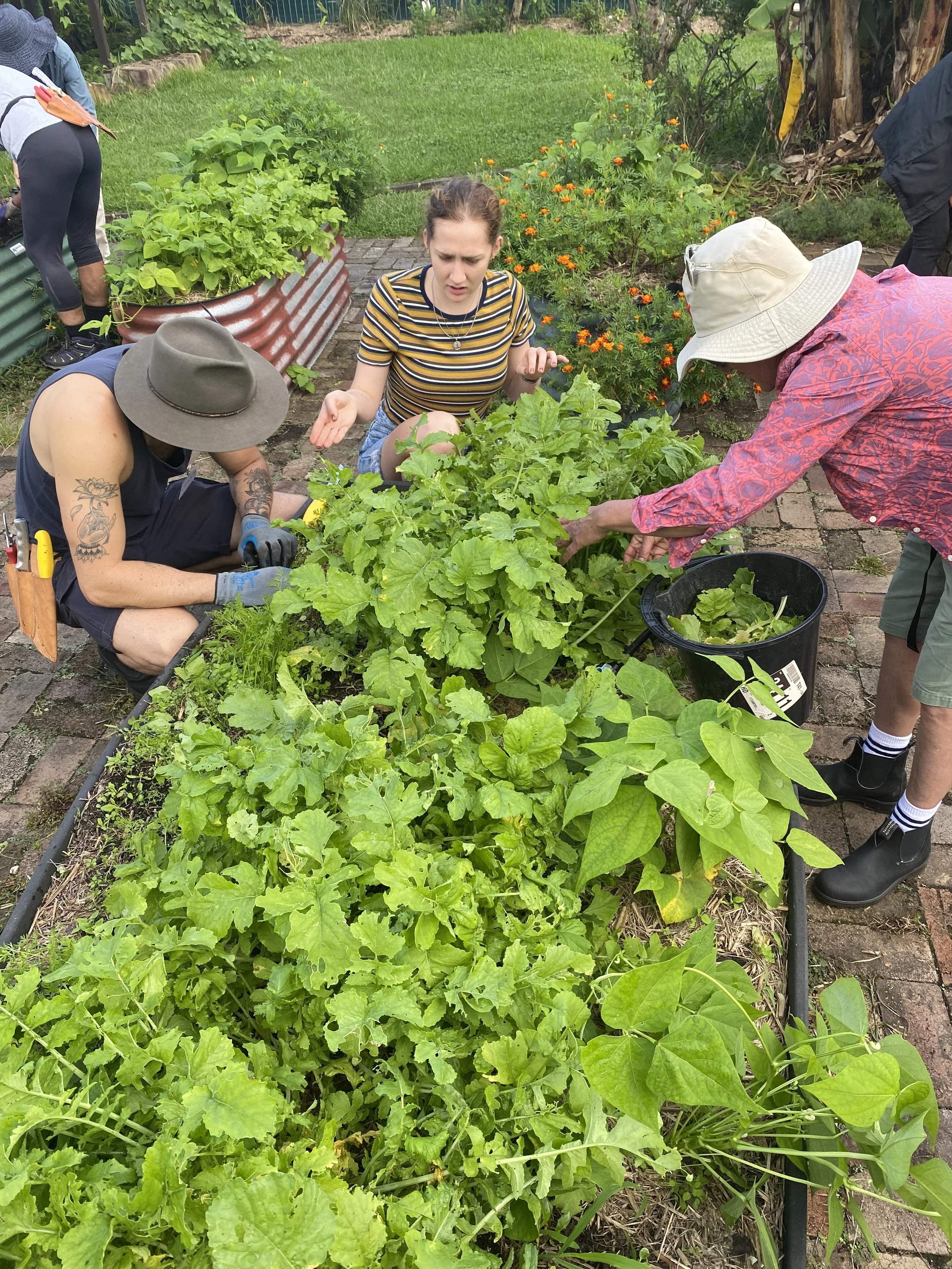 People gardening in a lush vegetable garden with green plants and flowers.