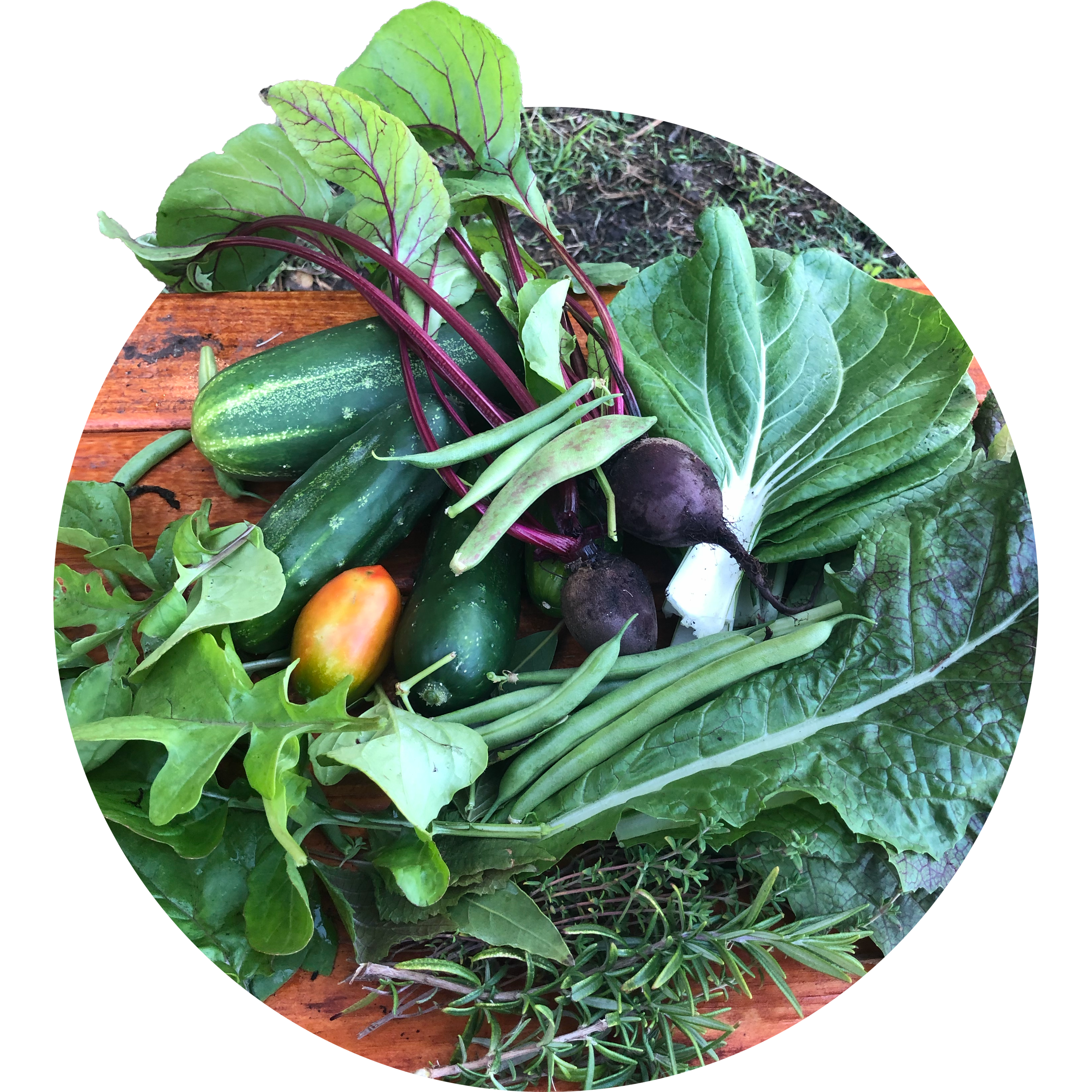 Fresh homegrown vegetables including cucumbers, beets, tomatoes, green beans, collard greens, and herbs on a wooden surface.