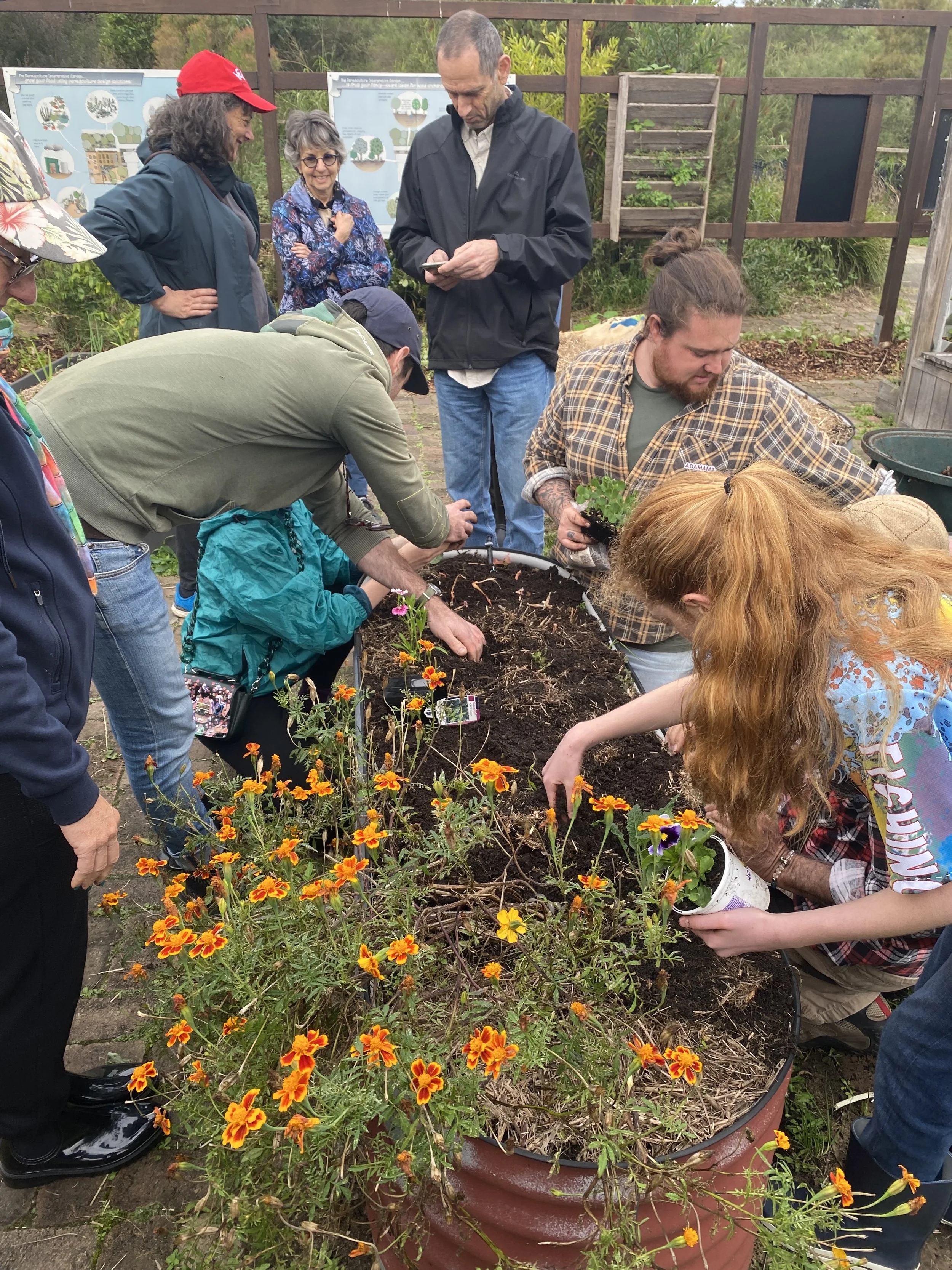 Group of people planting flowers in a large outdoor planter, some watering and others observing.