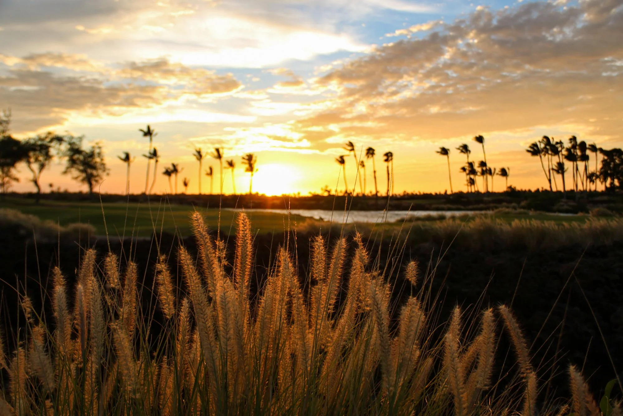 Hawaii Sunset 2