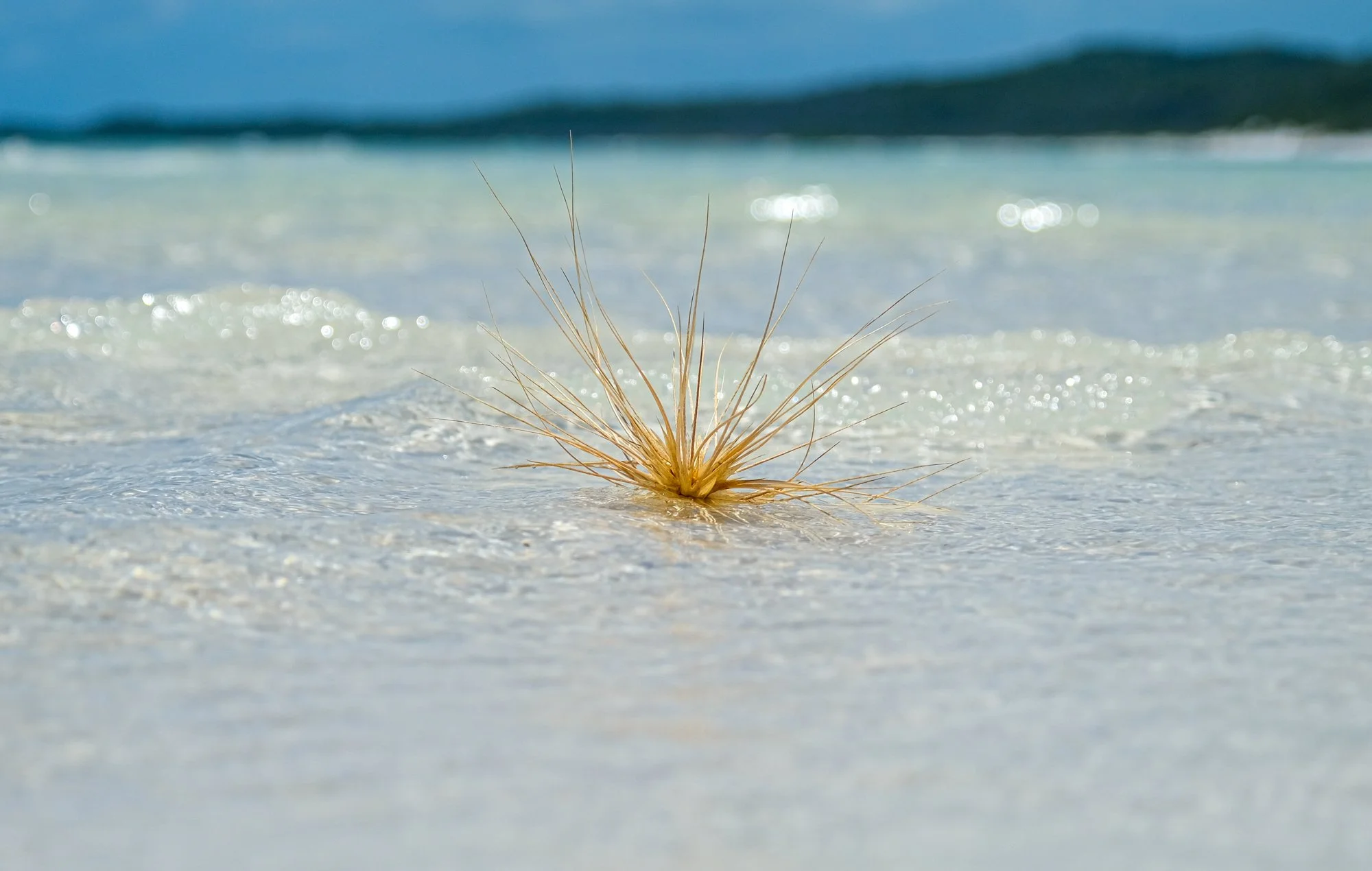 Whitehaven beach