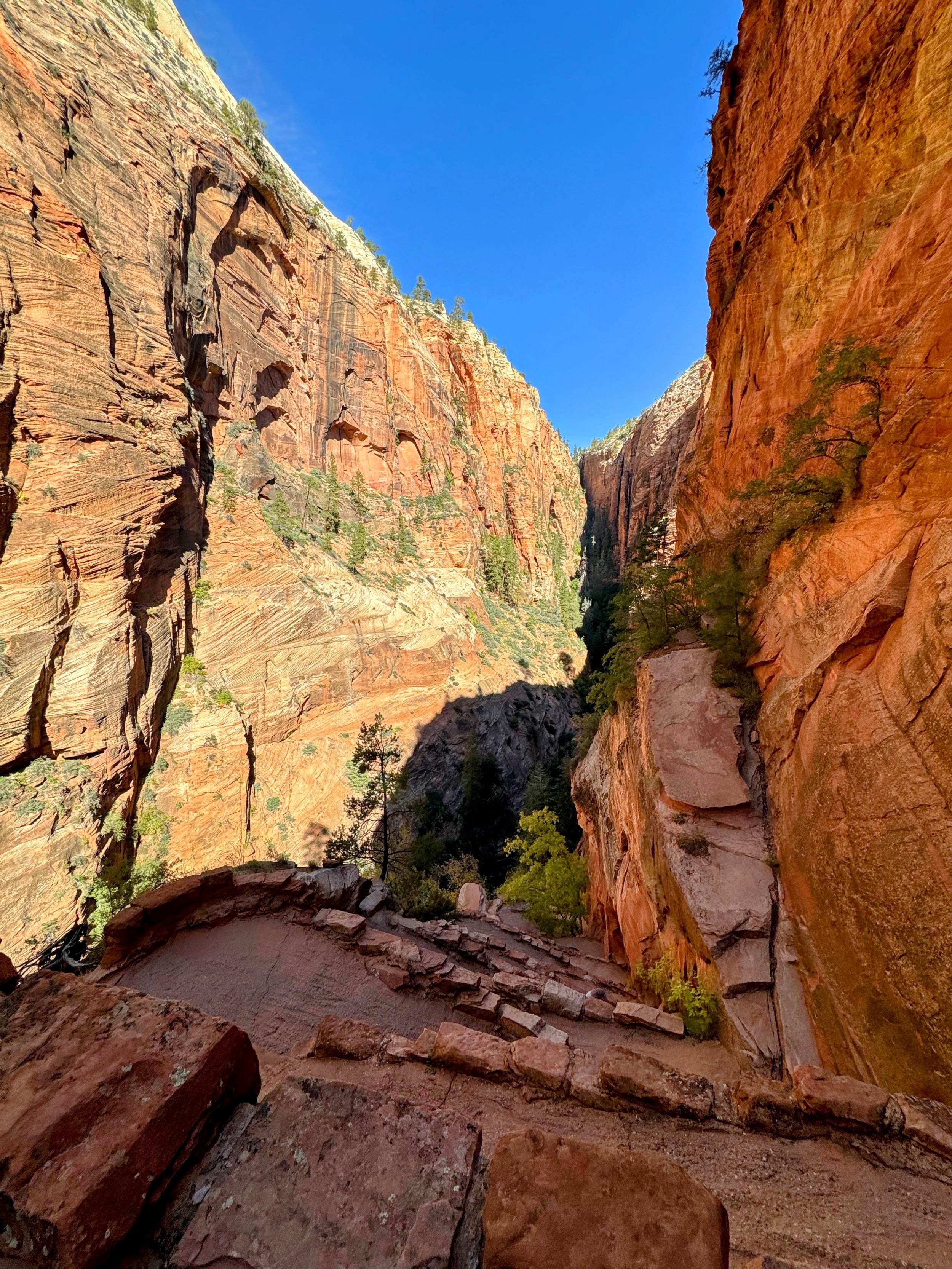 UtahRoadtrip-AngelsLanding-switchbacks.jpeg