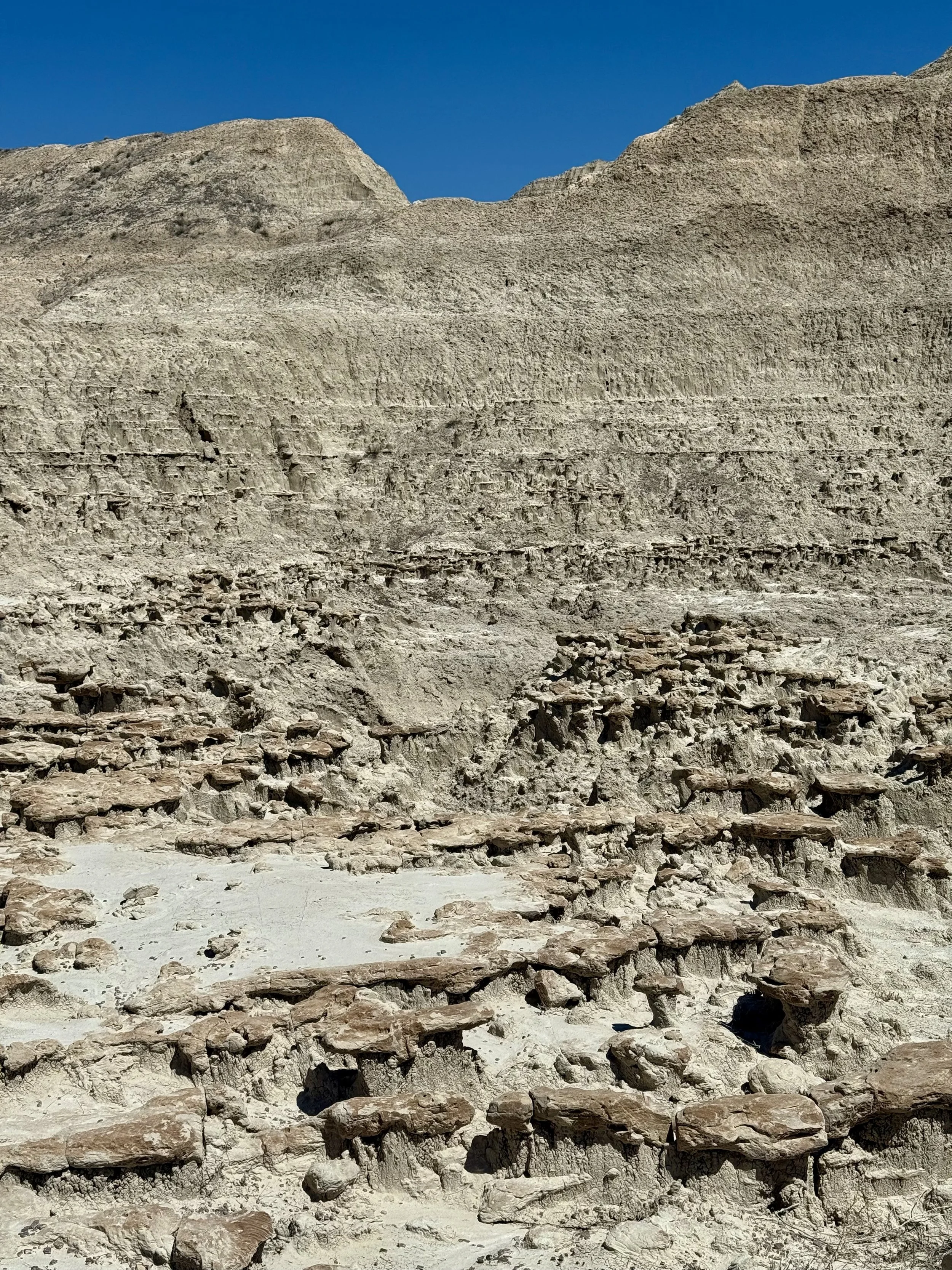 SouthDakotaRoadtrip-Badlands-SheepMountainTableRoad-2.jpeg