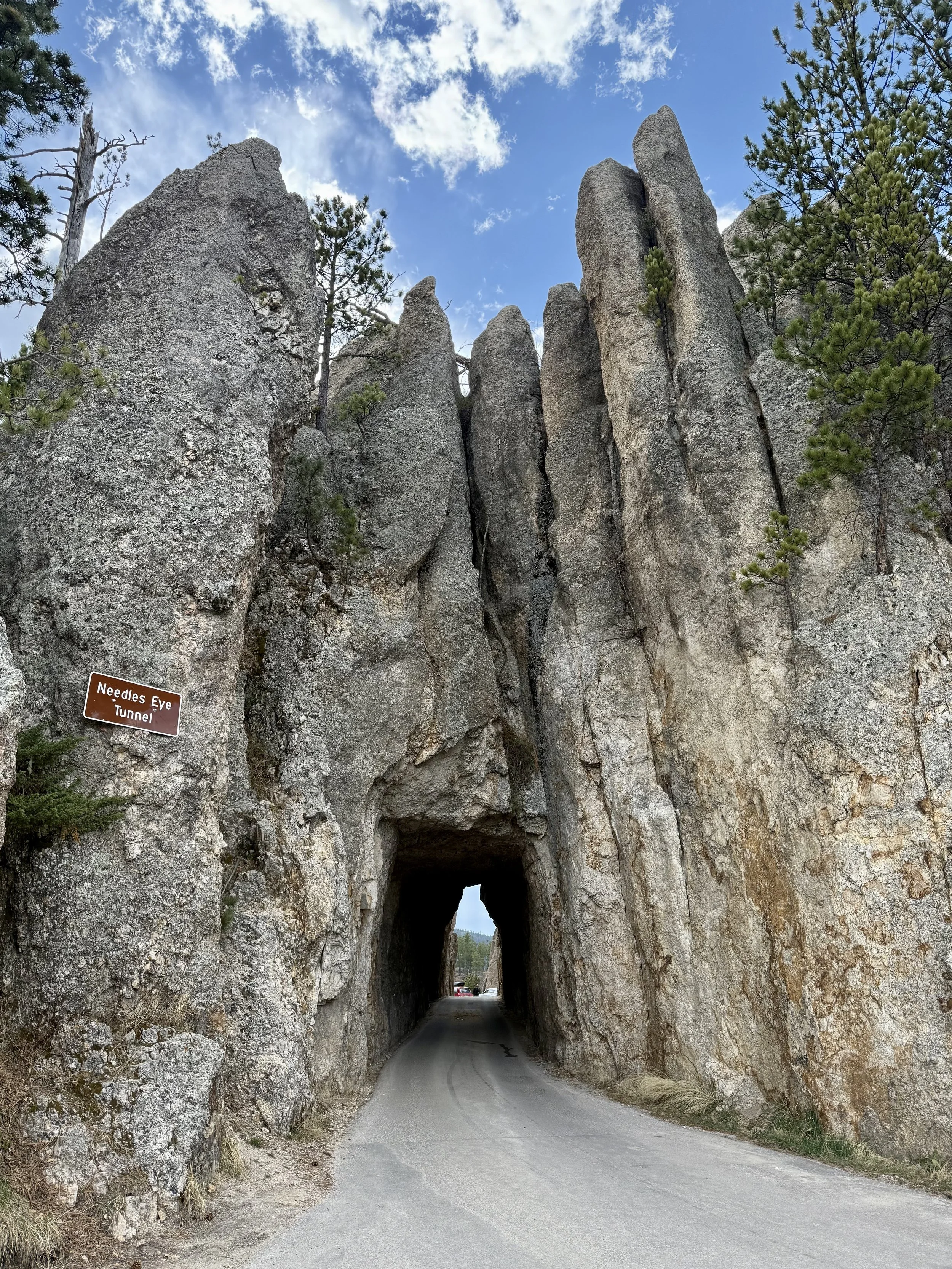 SouthDakotaRoadtrip-CusterStatePark-NeedlesHighway-CathedralSpiresTrail-1.jpeg