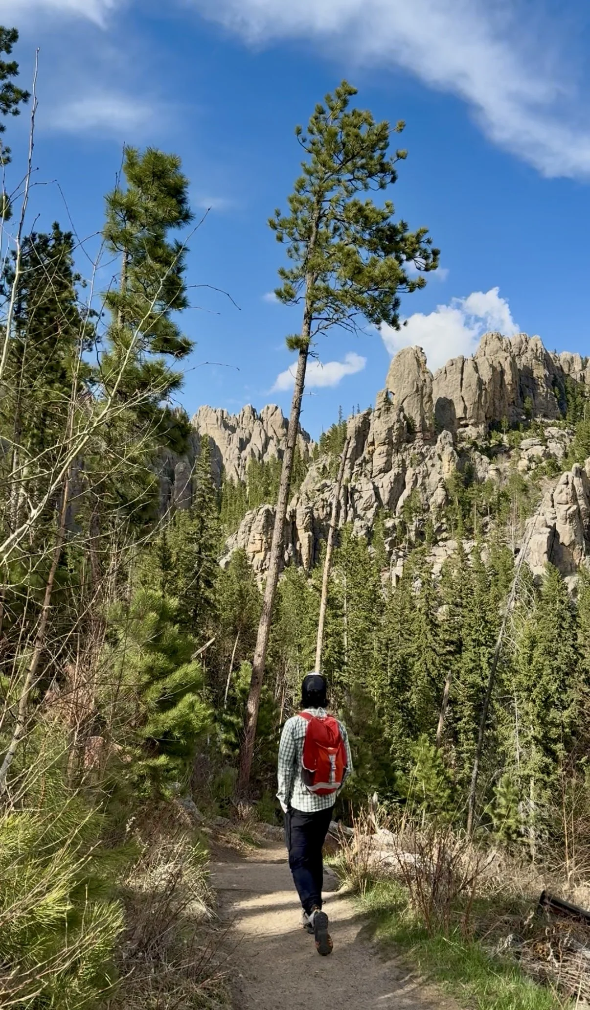 SouthDakotaRoadtrip-CusterStatePark-CathedralSpiresTrail-Dan.PNG