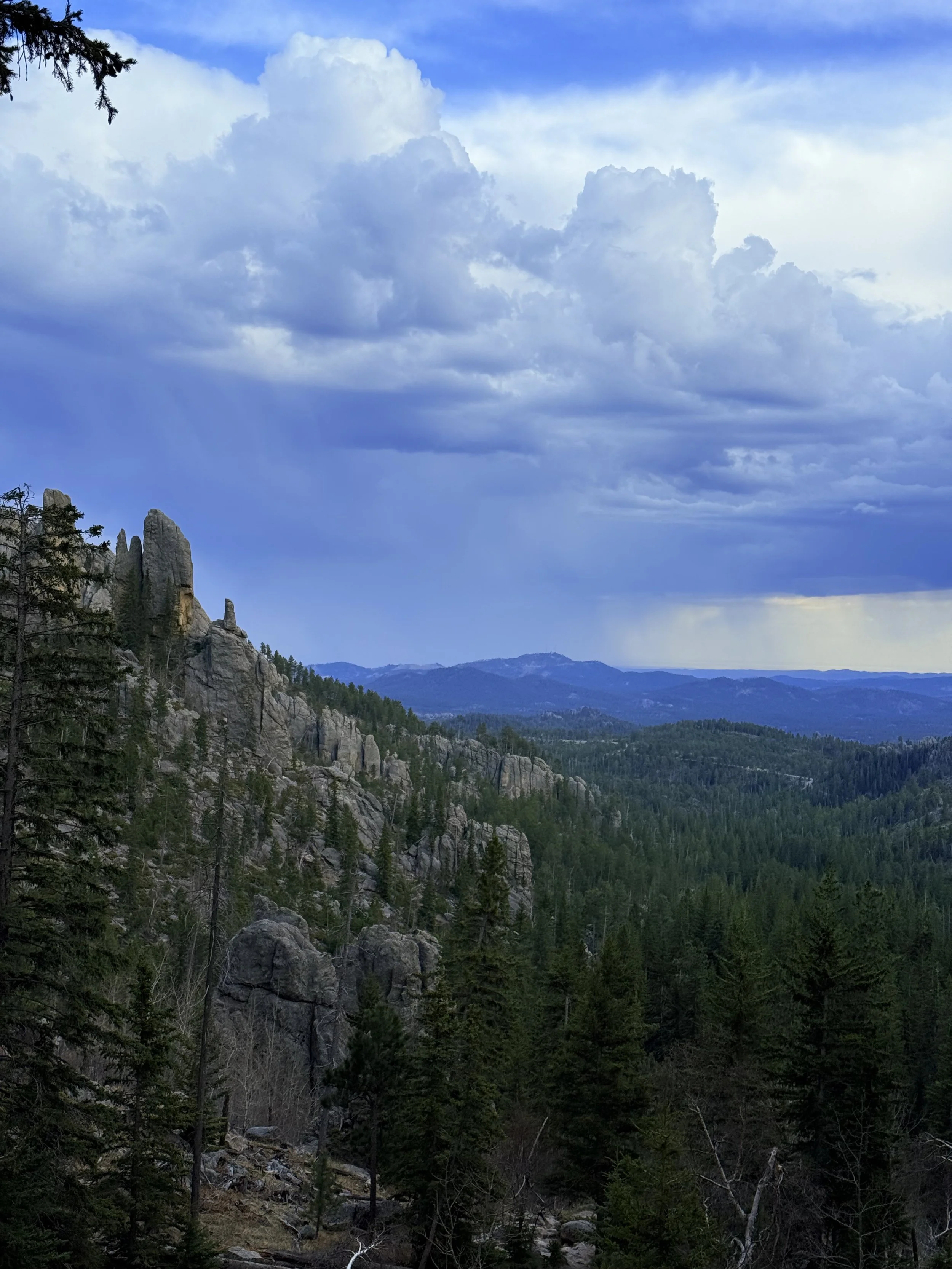 SouthDakotaRoadtrip-CusterStatePark-NeedlesHighway-CathedralSpiresTrail-21.jpeg