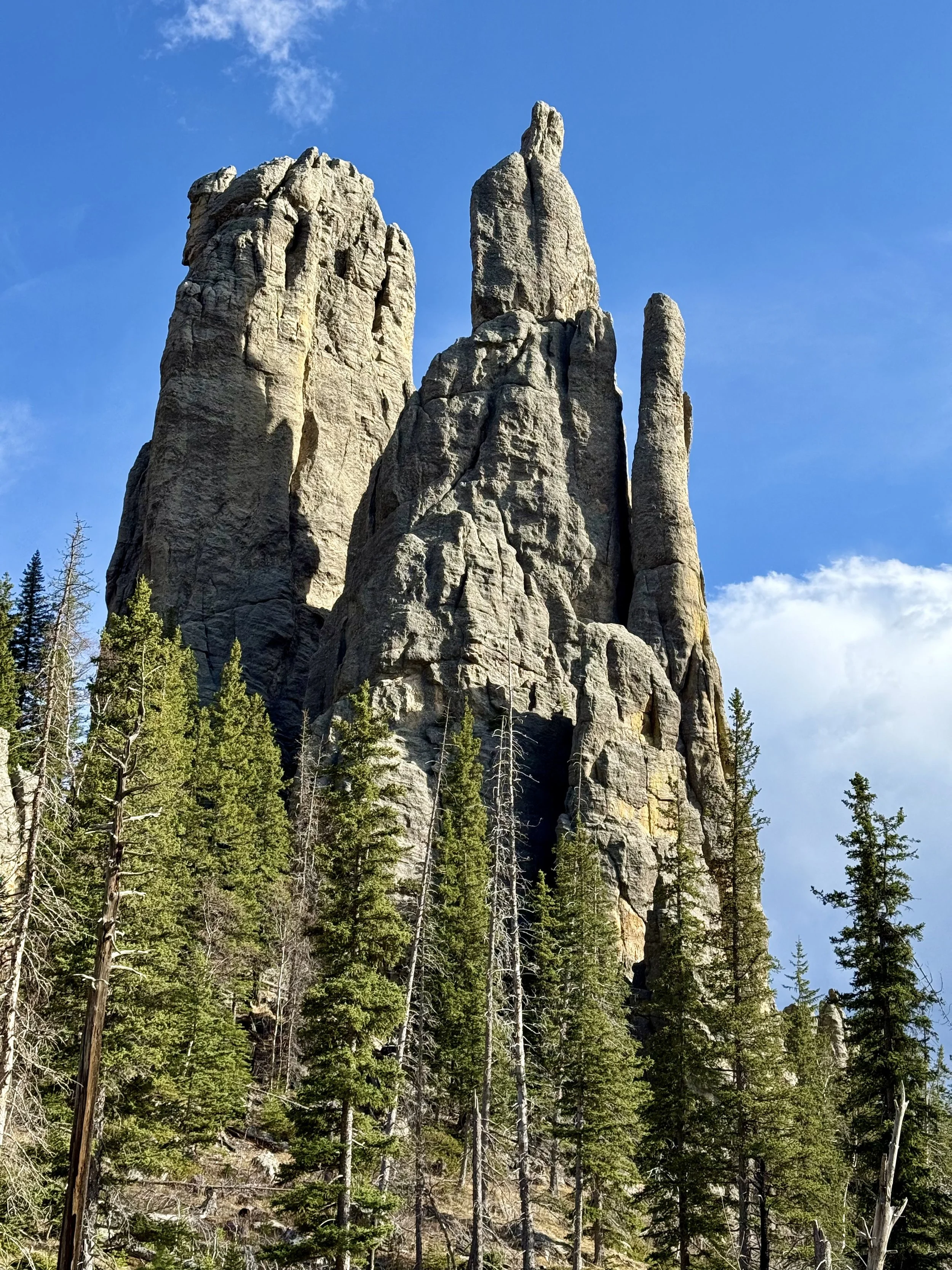 SouthDakotaRoadtrip-CusterStatePark-NeedlesHighway-CathedralSpiresTrail-12.jpeg