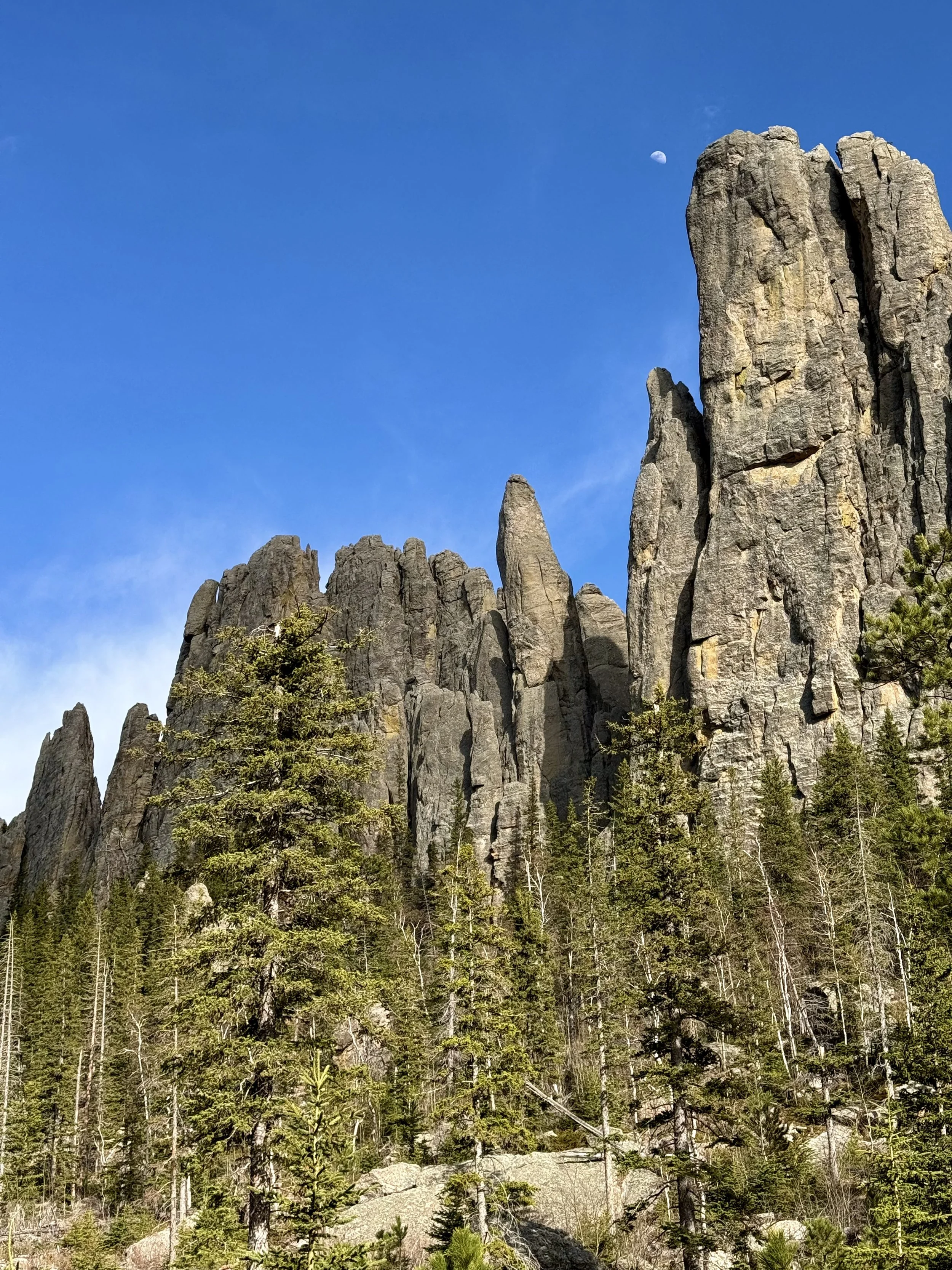 SouthDakotaRoadtrip-CusterStatePark-NeedlesHighway-CathedralSpiresTrail-11.jpeg
