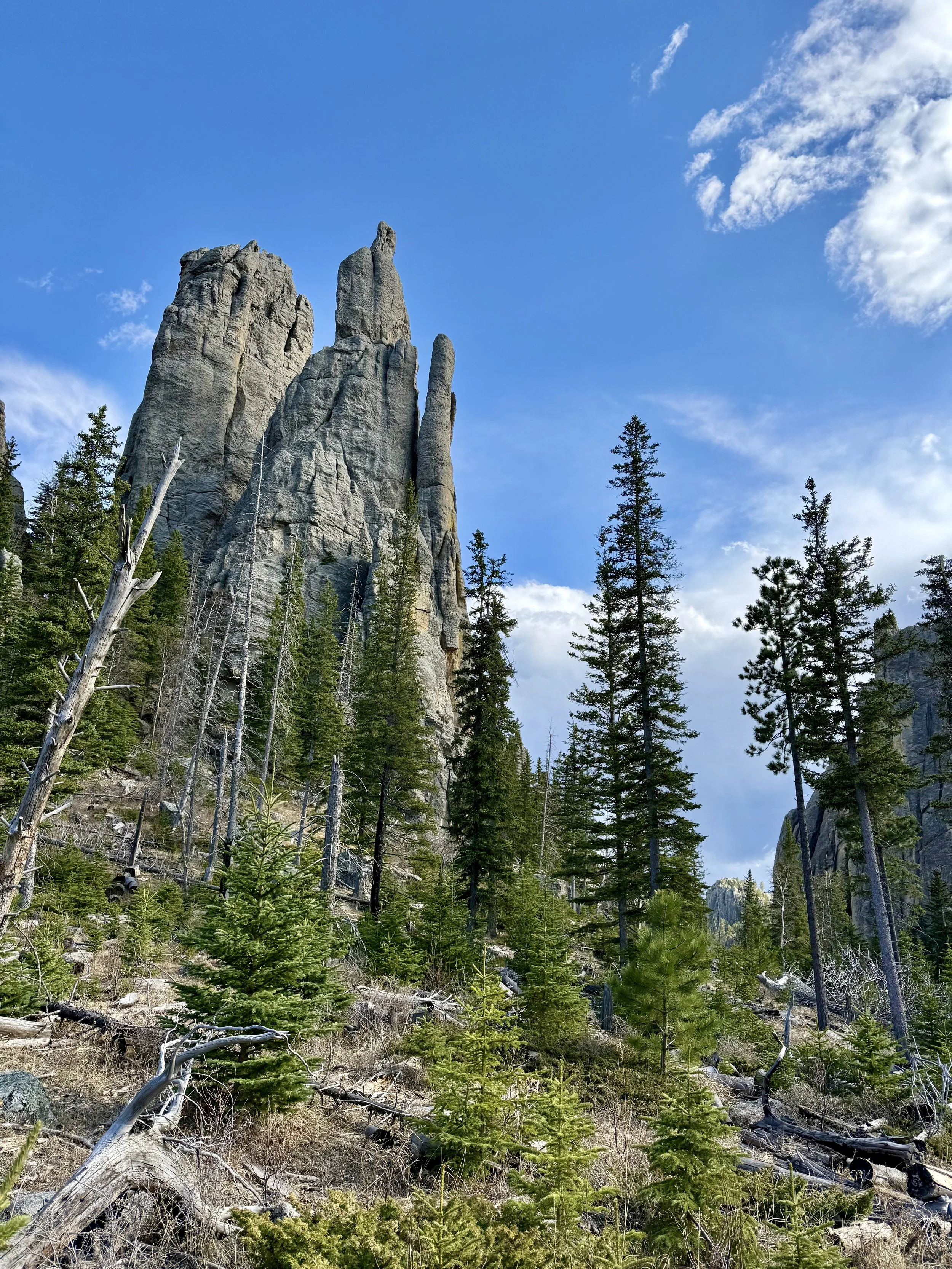 SouthDakotaRoadtrip-CusterStatePark-NeedlesHighway-CathedralSpiresTrail-10.jpeg