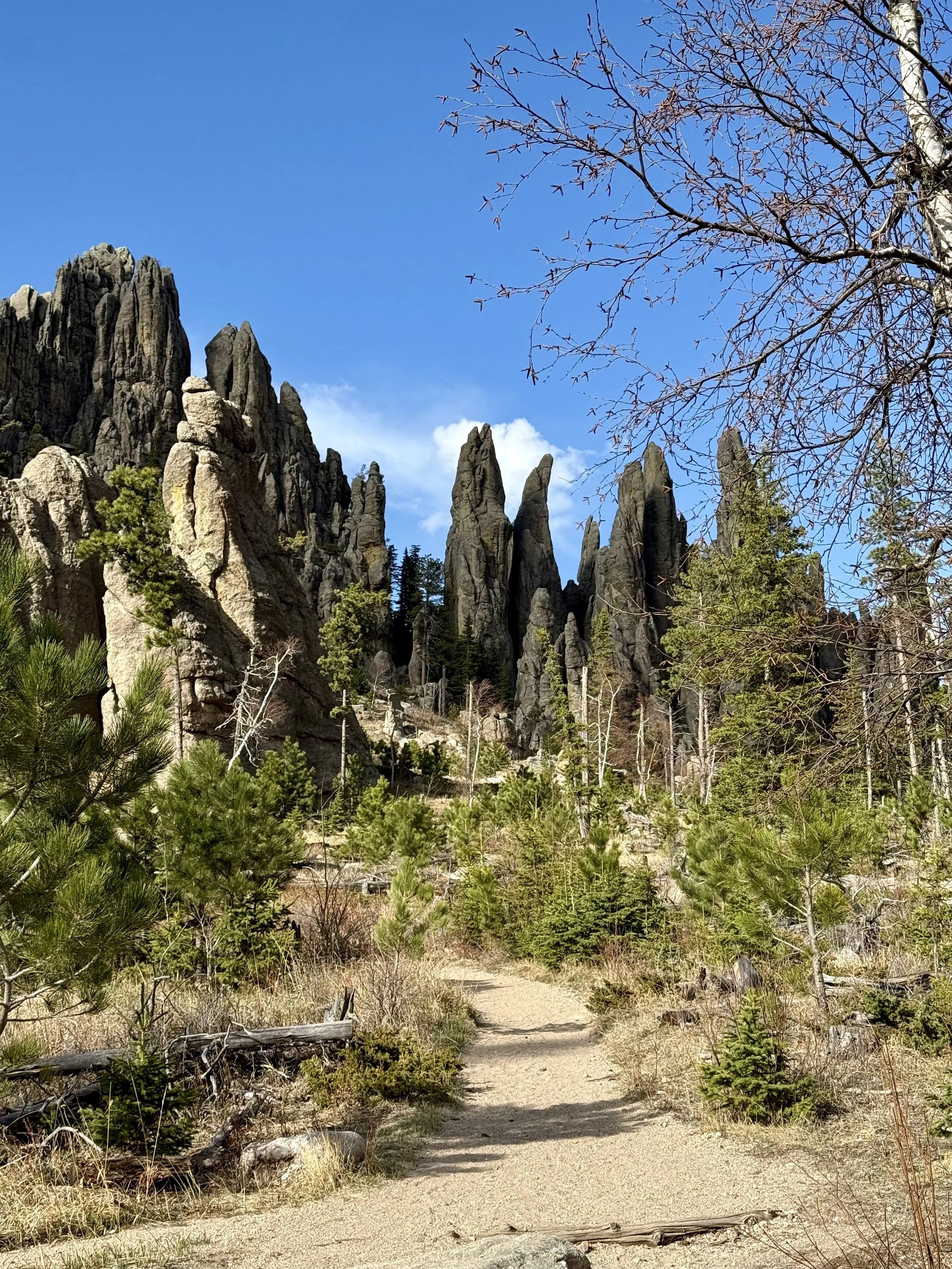 SouthDakotaRoadtrip-CusterStatePark-NeedlesHighway-CathedralSpiresTrail-9.jpeg