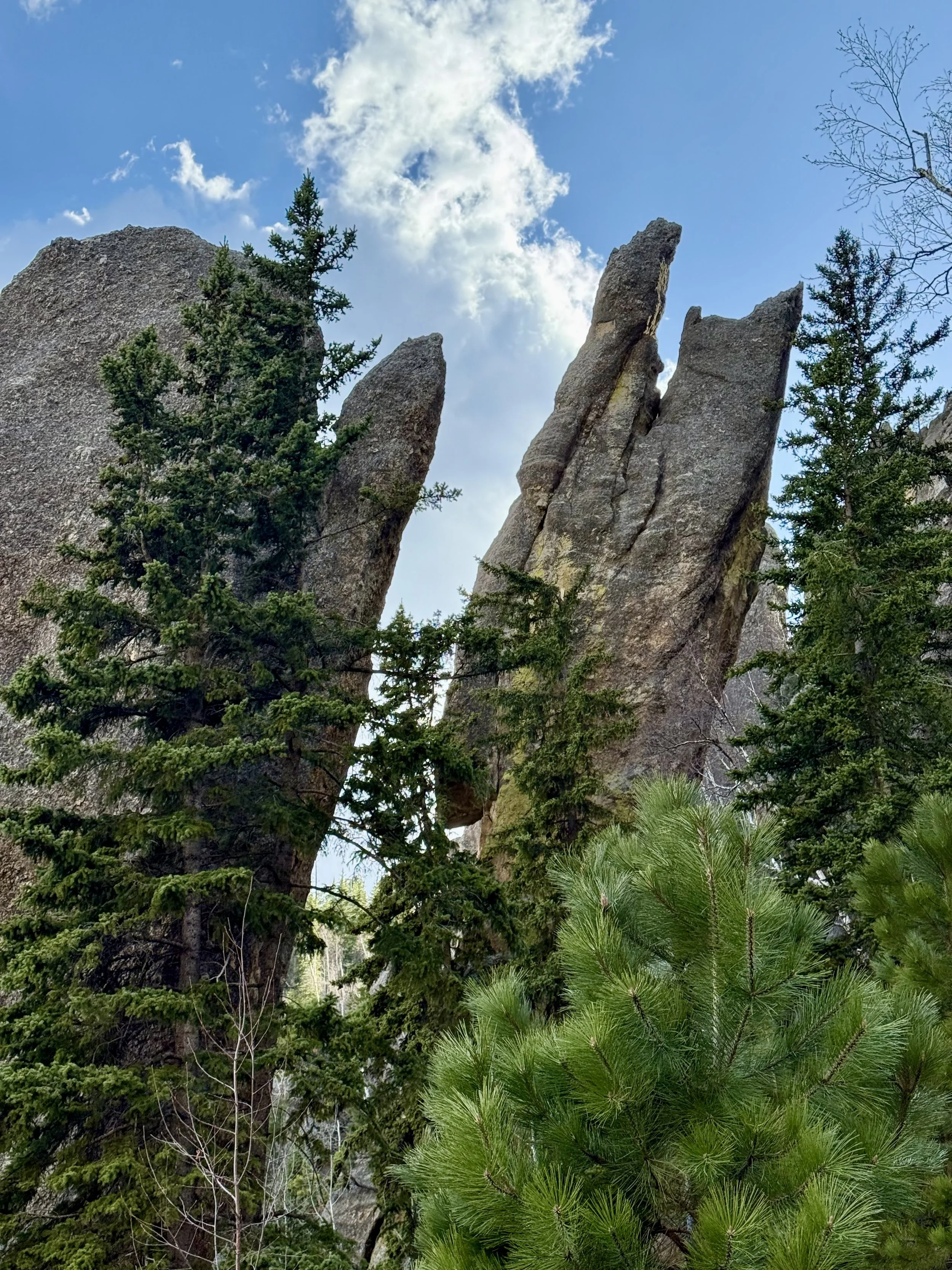 SouthDakotaRoadtrip-CusterStatePark-NeedlesHighway-CathedralSpiresTrail-7.jpeg