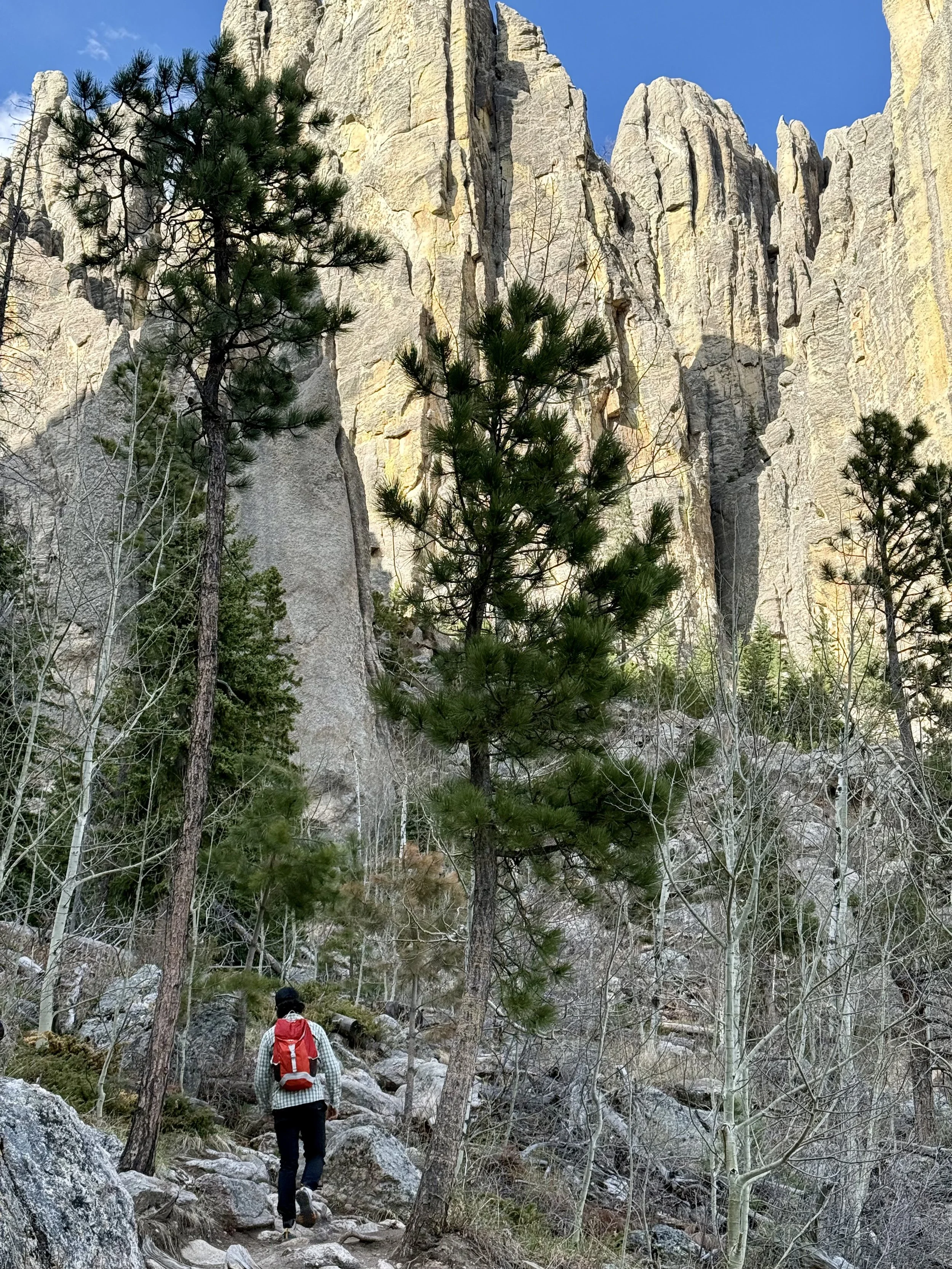 SouthDakotaRoadtrip-CusterStatePark-NeedlesHighway-CathedralSpiresTrail-6.jpeg