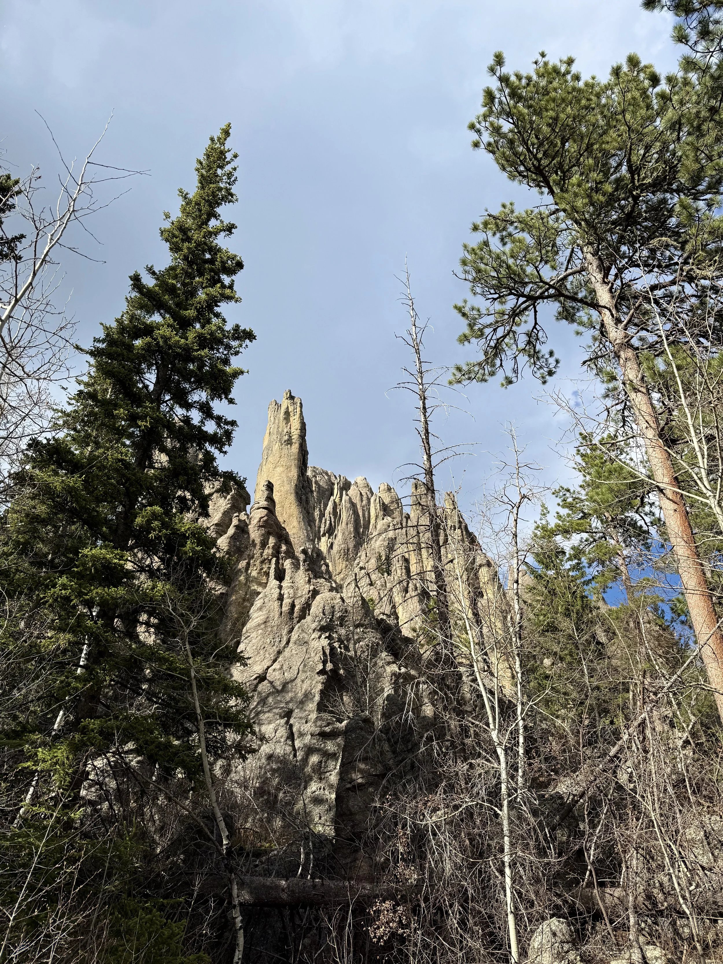 SouthDakotaRoadtrip-CusterStatePark-NeedlesHighway-CathedralSpiresTrail-5.jpeg
