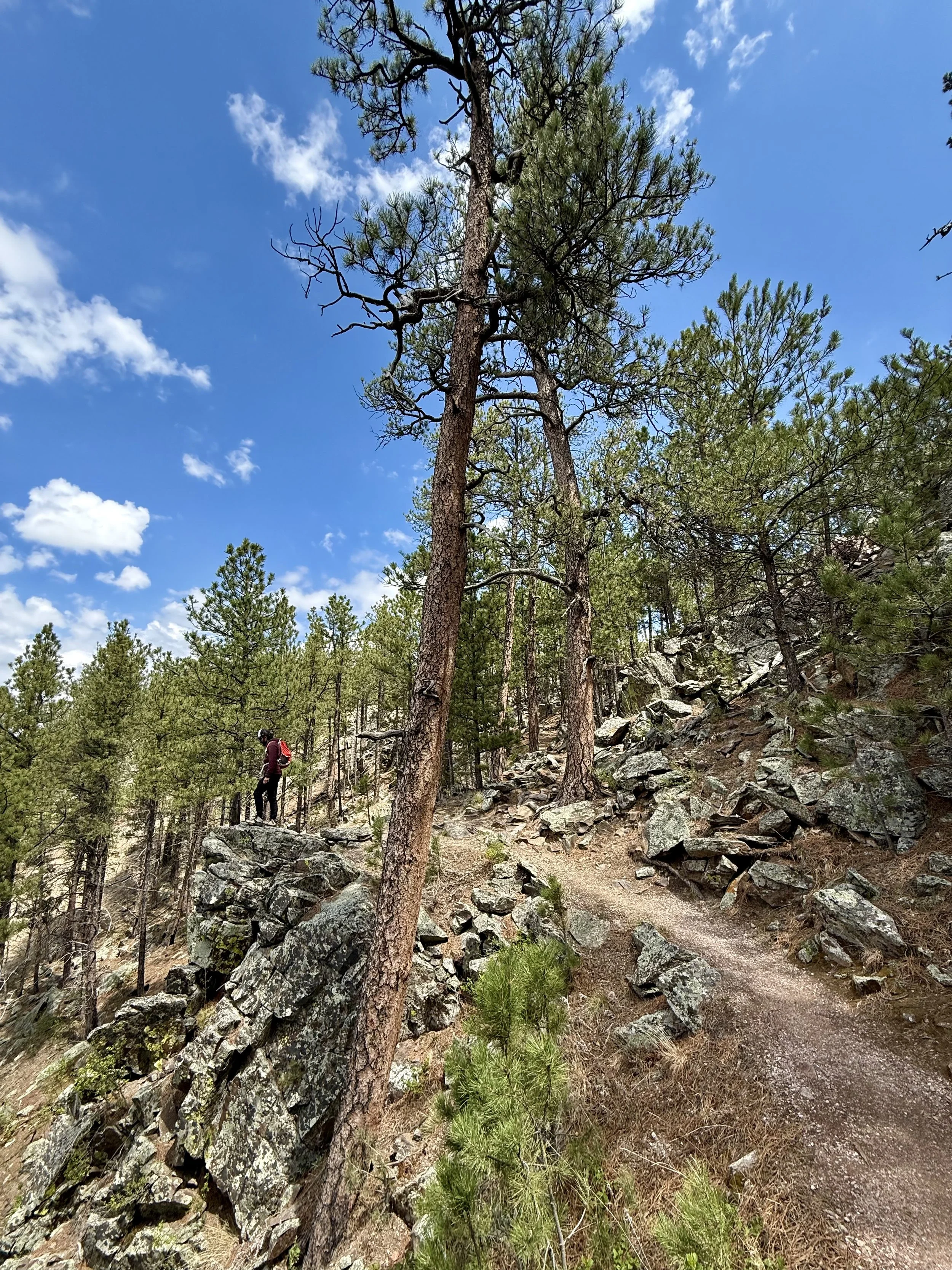 SouthDakotaRoadtrip-WindCaveNationalPark-RankinRidgeTrail-1.jpeg