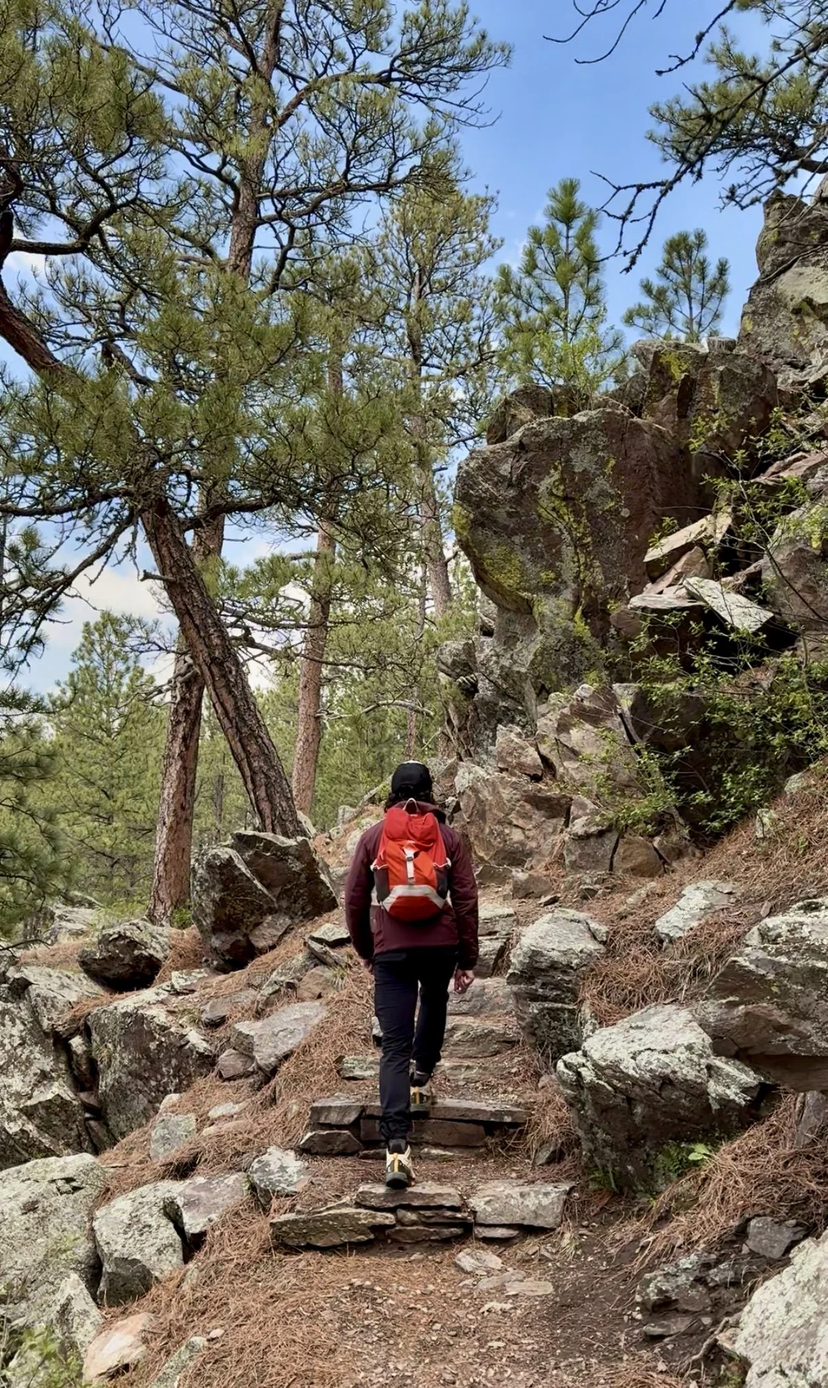 SouthDakotaRoadtrip-WindCaveNationalPark-RankinRidgeTrail-4.PNG