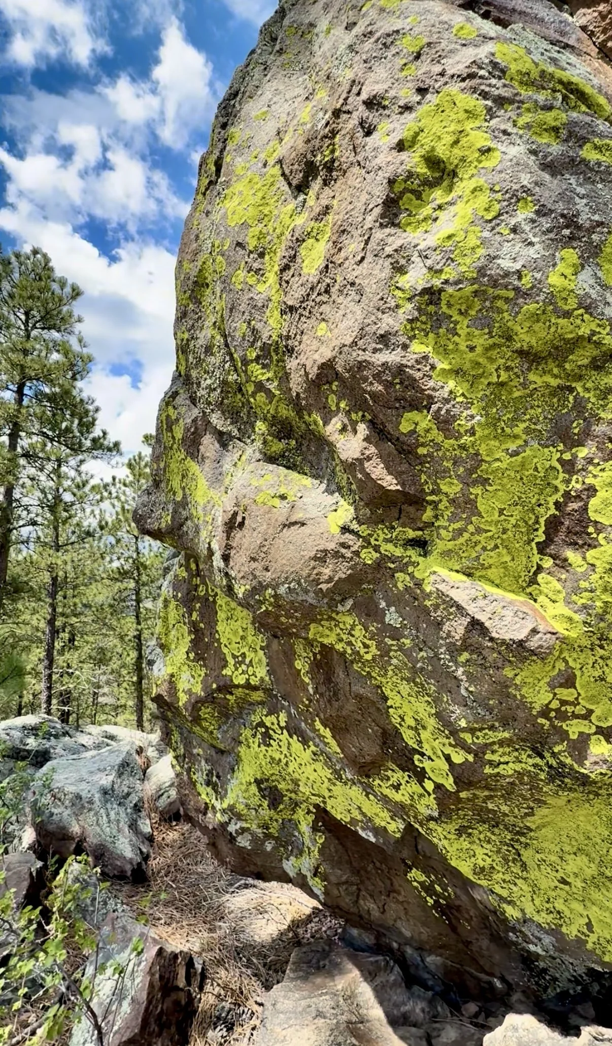 SouthDakotaRoadtrip-WindCaveNationalPark-RankinRidgeTrail-3.PNG