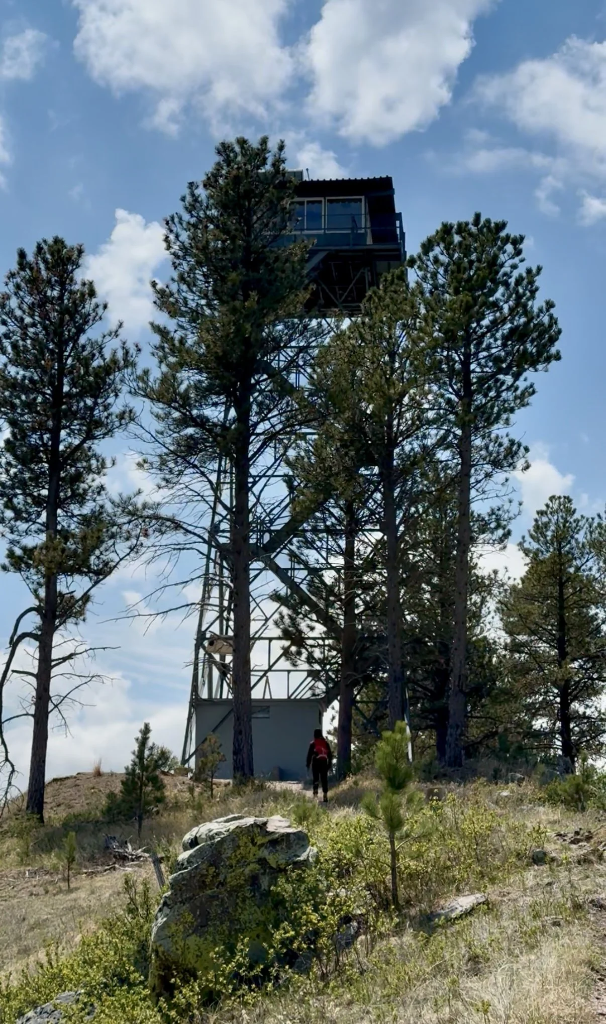 SouthDakotaRoadtrip-WindCaveNationalPark-RankinRidgeTrail-1.PNG
