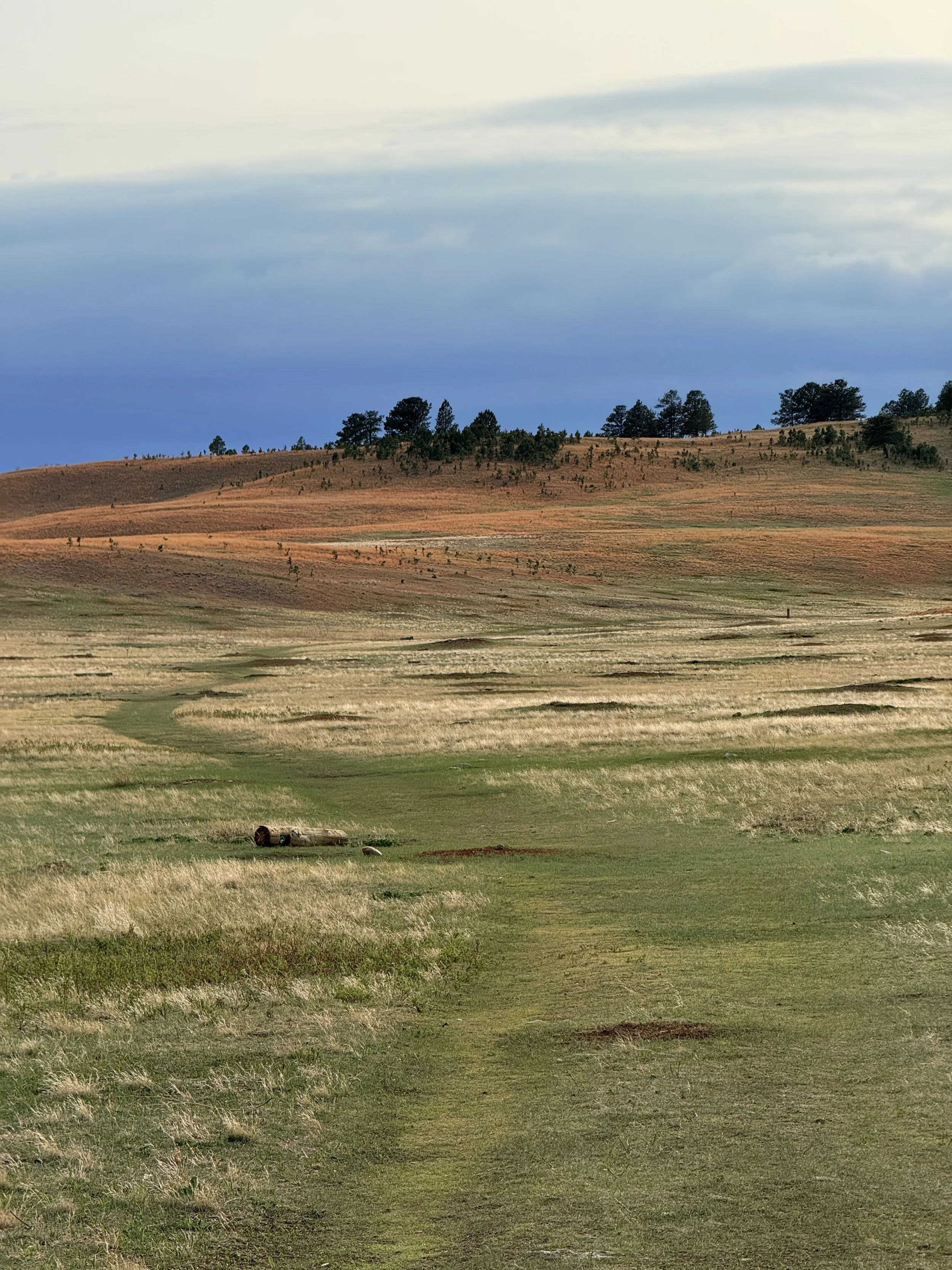SouthDakotaRoadtrip-WindCaveNationalPark-LookoutPointTrail-CentennialTrailLoop-17.jpeg