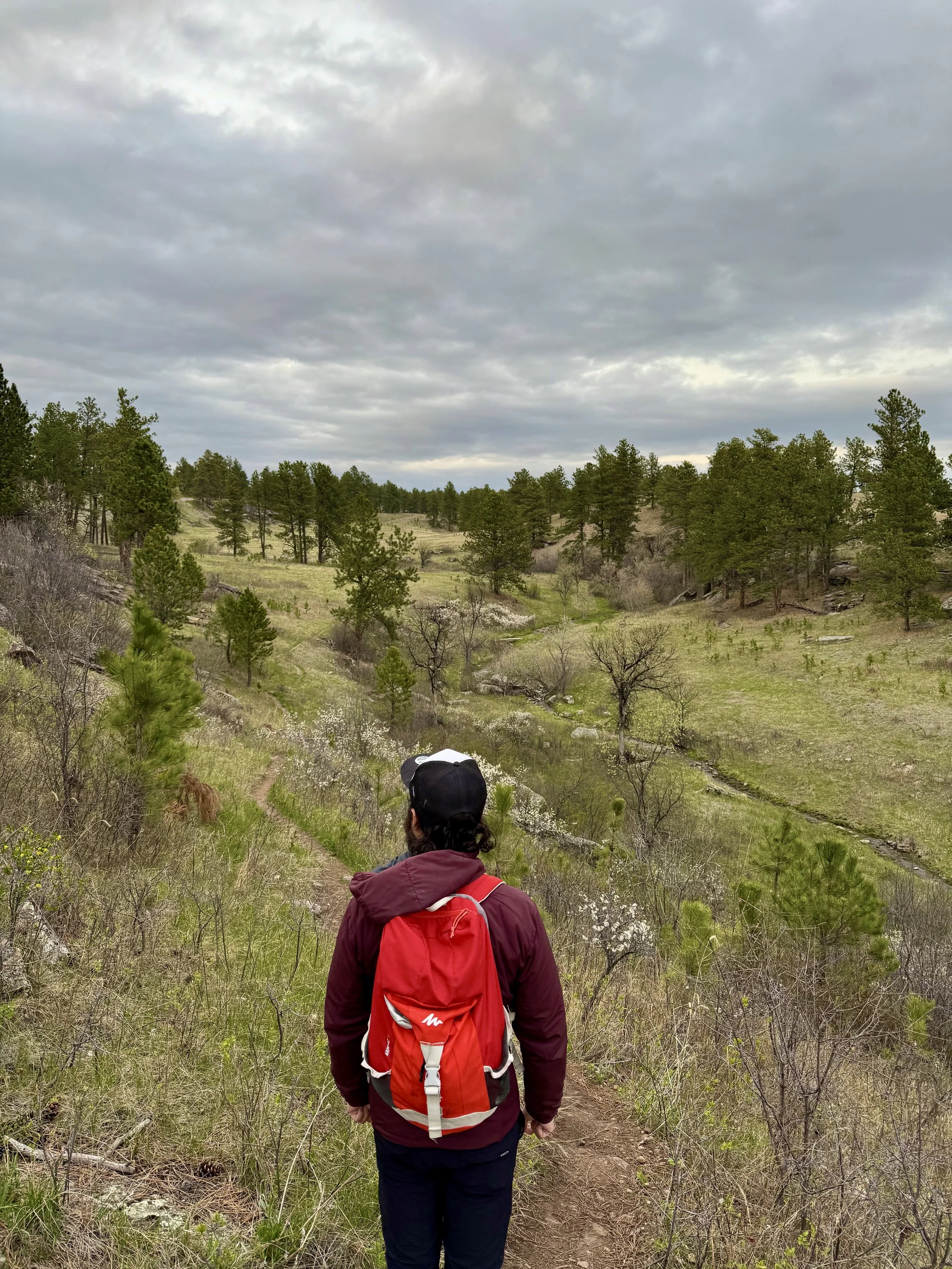 SouthDakotaRoadtrip-WindCaveNationalPark-LookoutPointTrail-CentennialTrailLoop-16.jpeg