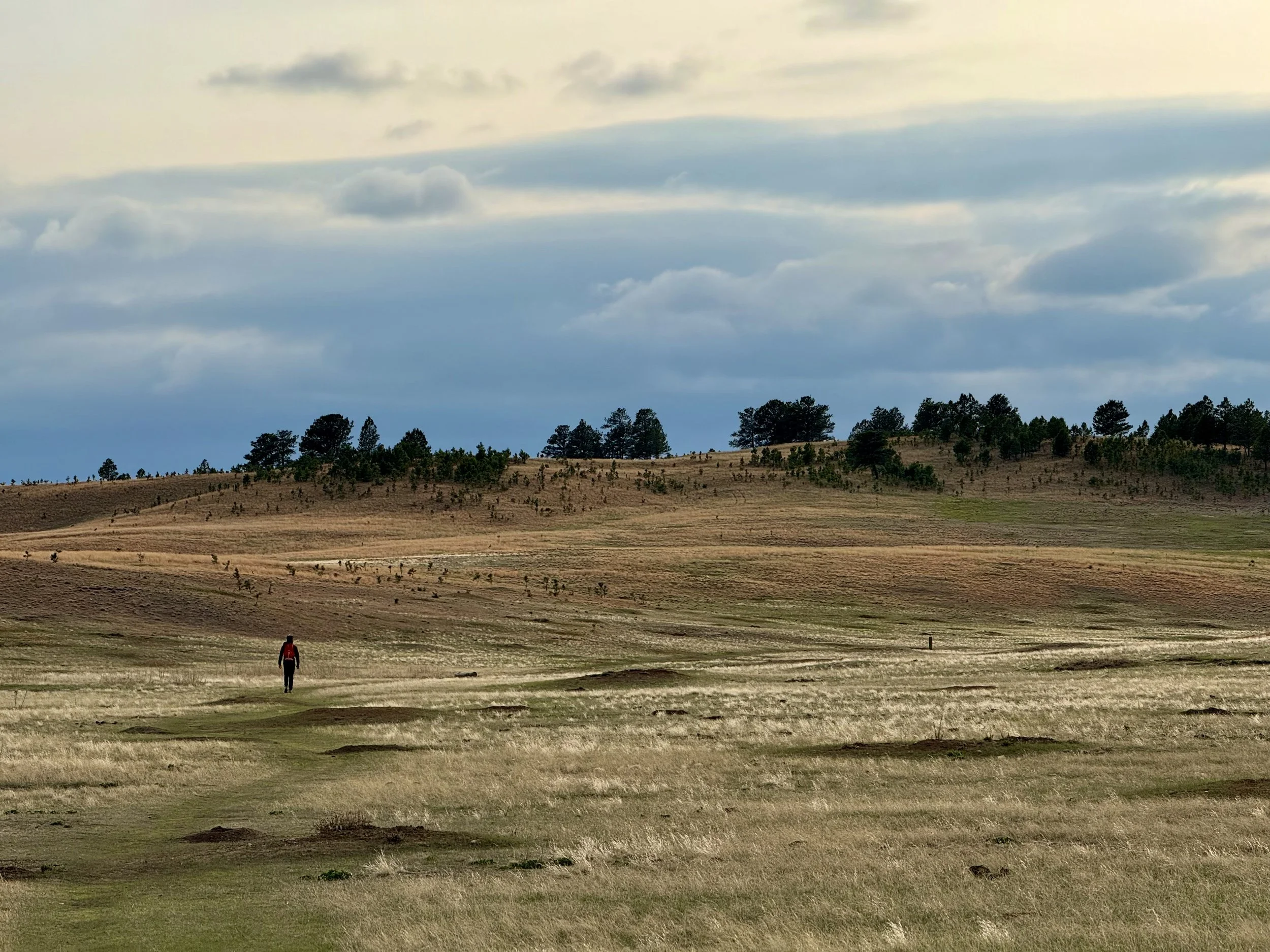 SouthDakotaRoadtrip-WindCaveNationalPark-LookoutPointTrail-CentennialTrailLoop-8.jpeg