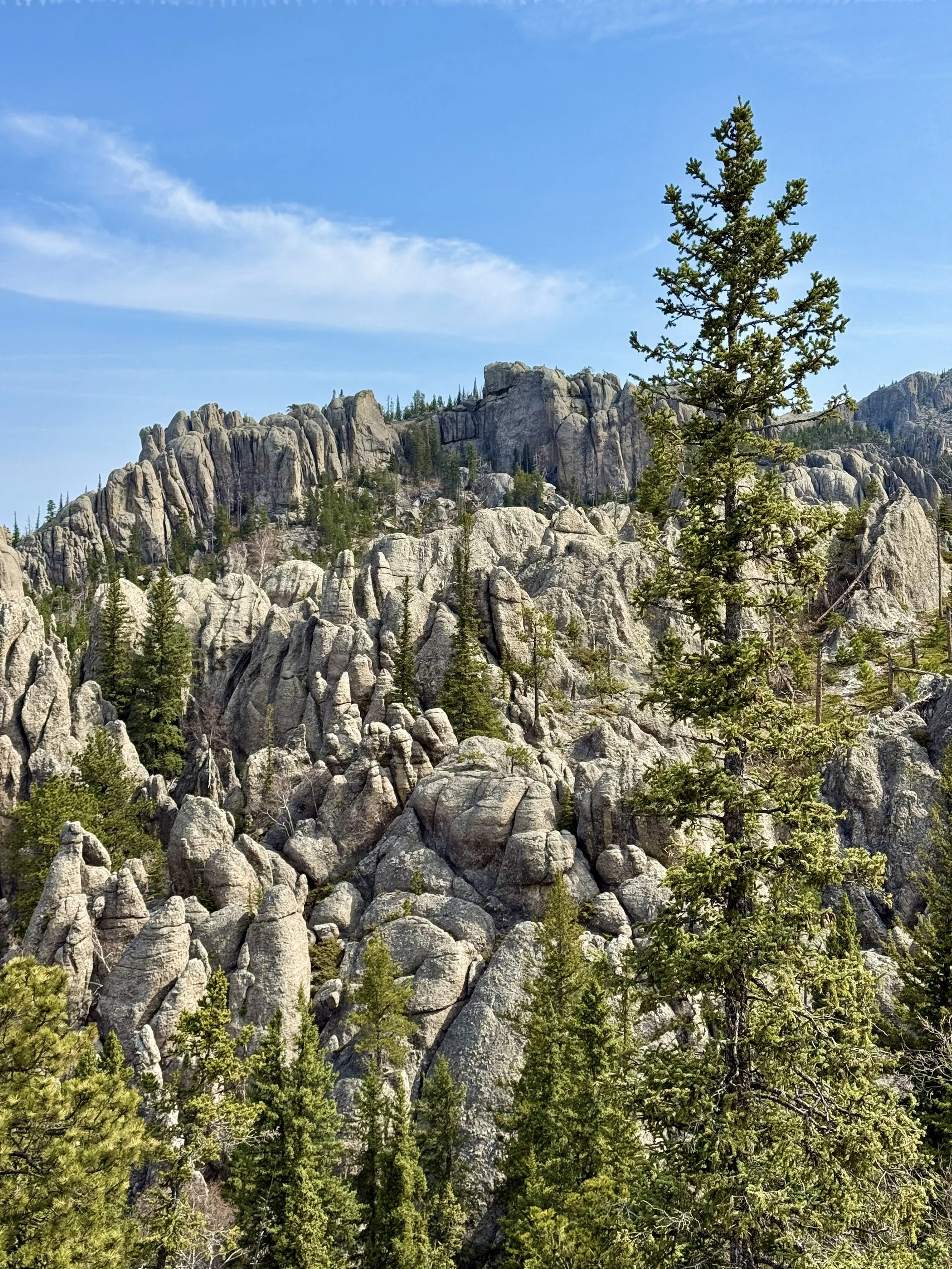 SouthDakotaRoadtrip-CusterStatePark-BlackElkPeak-LittleDevilsTower-2.jpeg