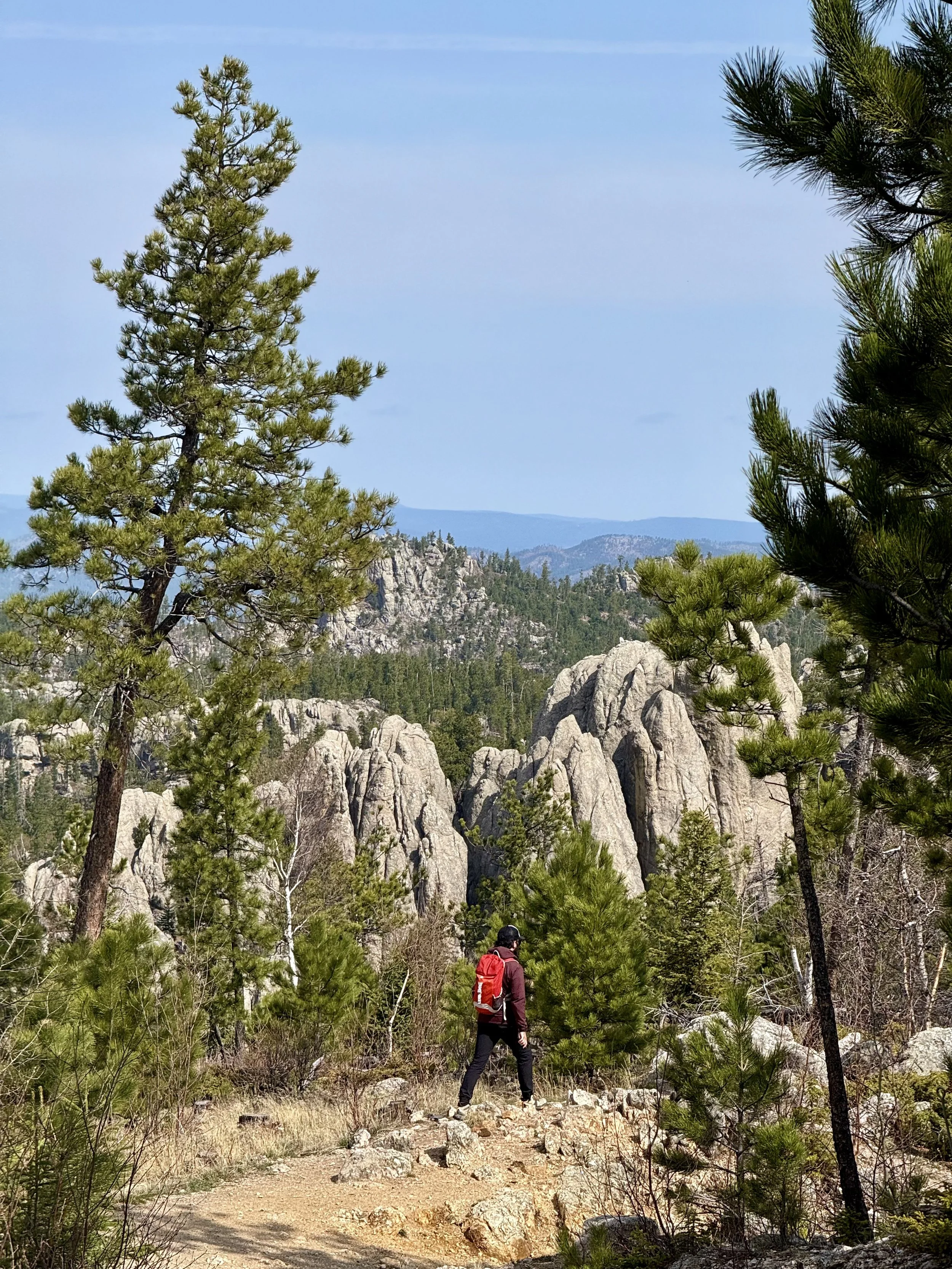 SouthDakotaRoadtrip-CusterStatePark-BlackElkPeak-LittleDevilsTower-3.jpeg