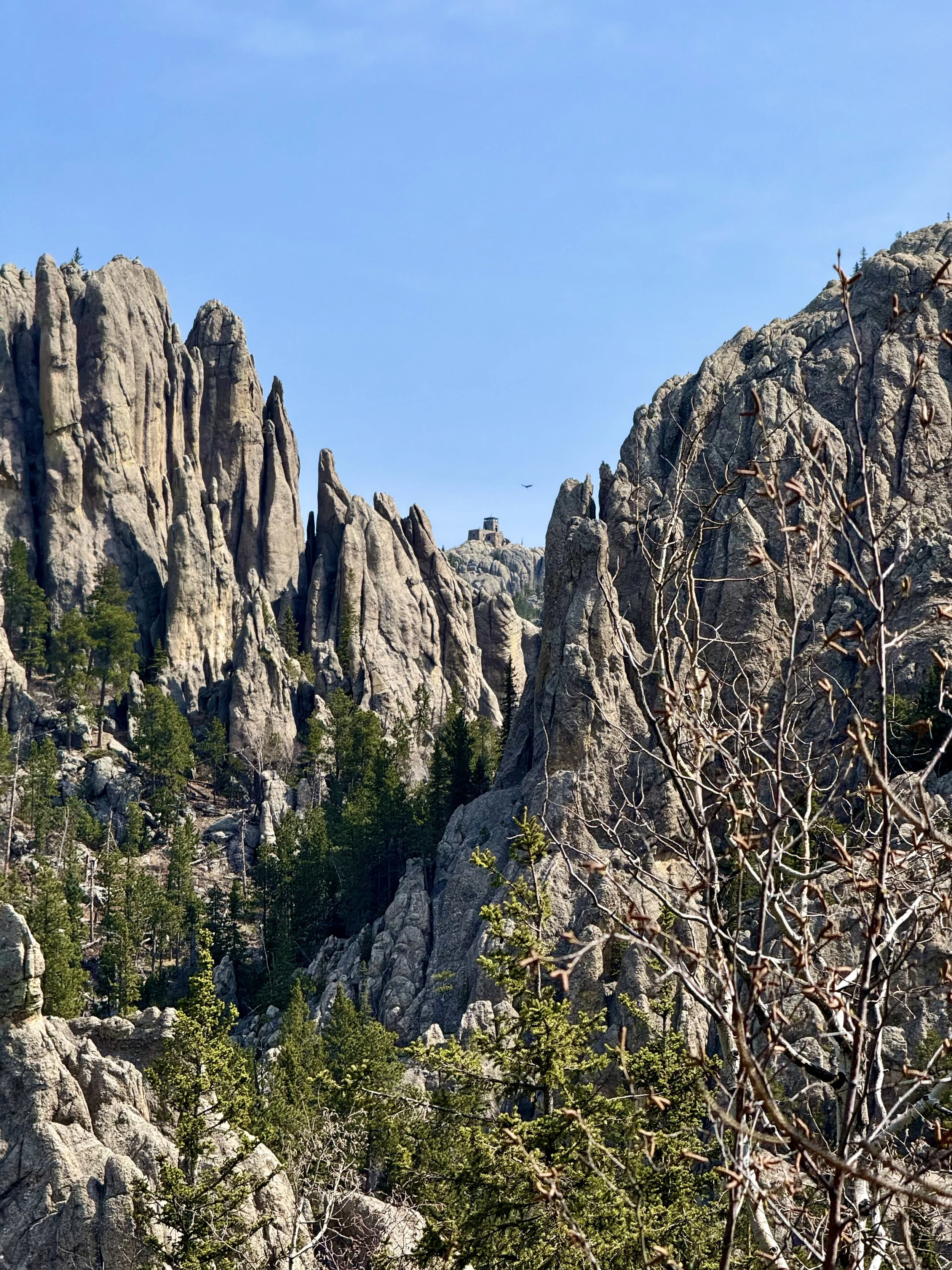 SouthDakotaRoadtrip-CusterStatePark-BlackElkPeak-LittleDevilsTower-4.jpeg