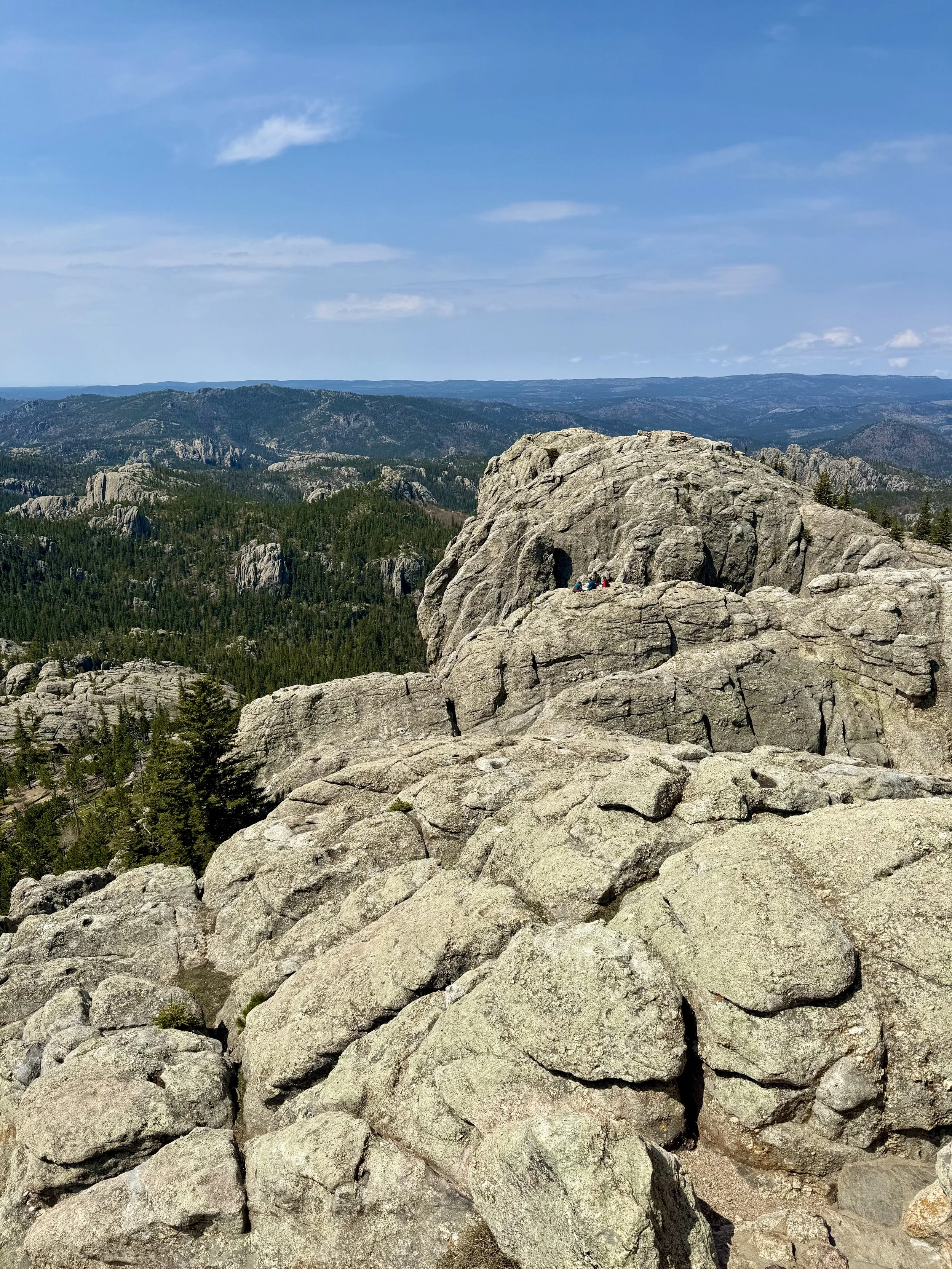 SouthDakotaRoadtrip-CusterStatePark-BlackElkPeak-LittleDevilsTower-9.jpeg