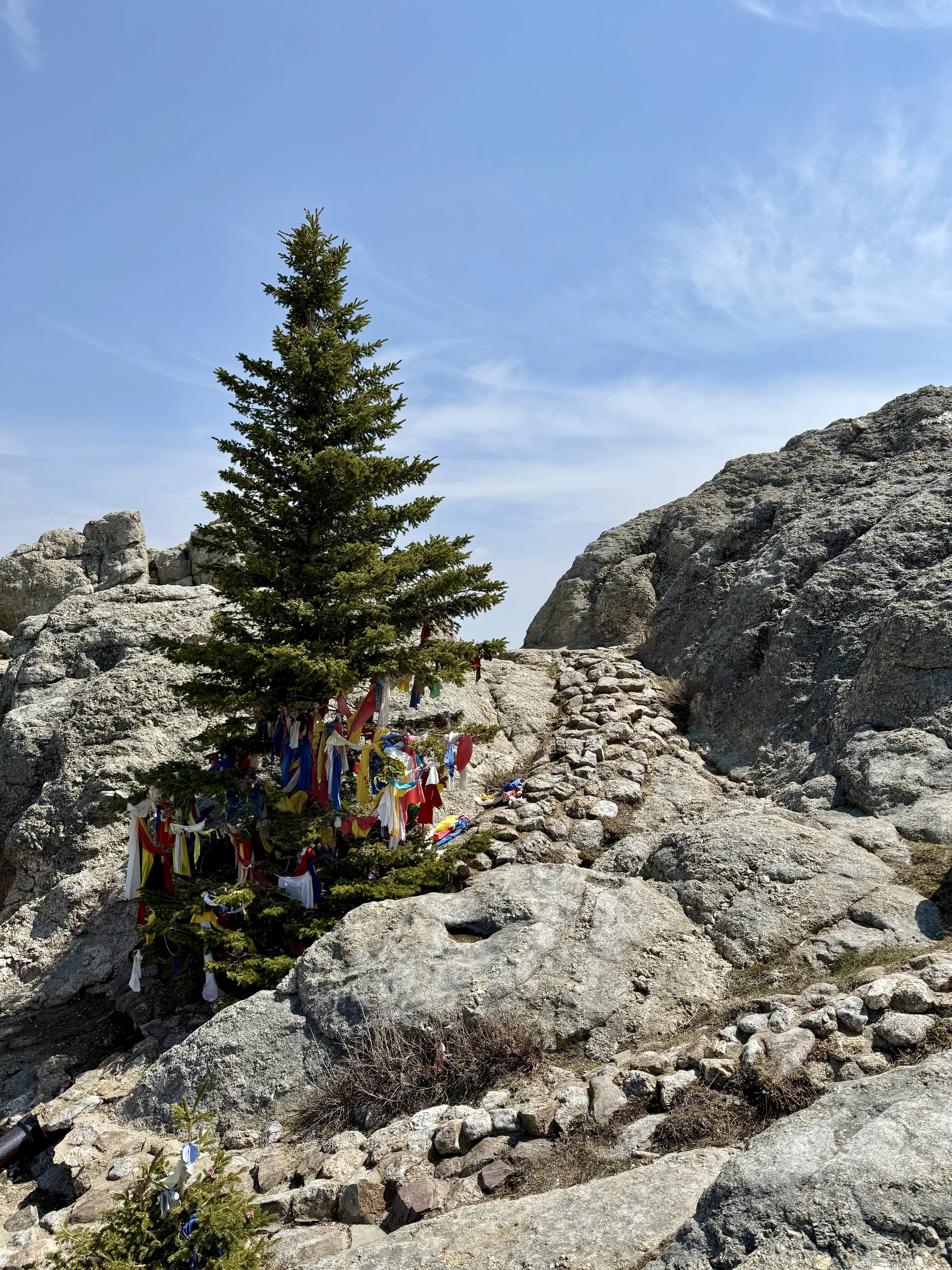 SouthDakotaRoadtrip-CusterStatePark-BlackElkPeak-LittleDevilsTower-11.jpeg