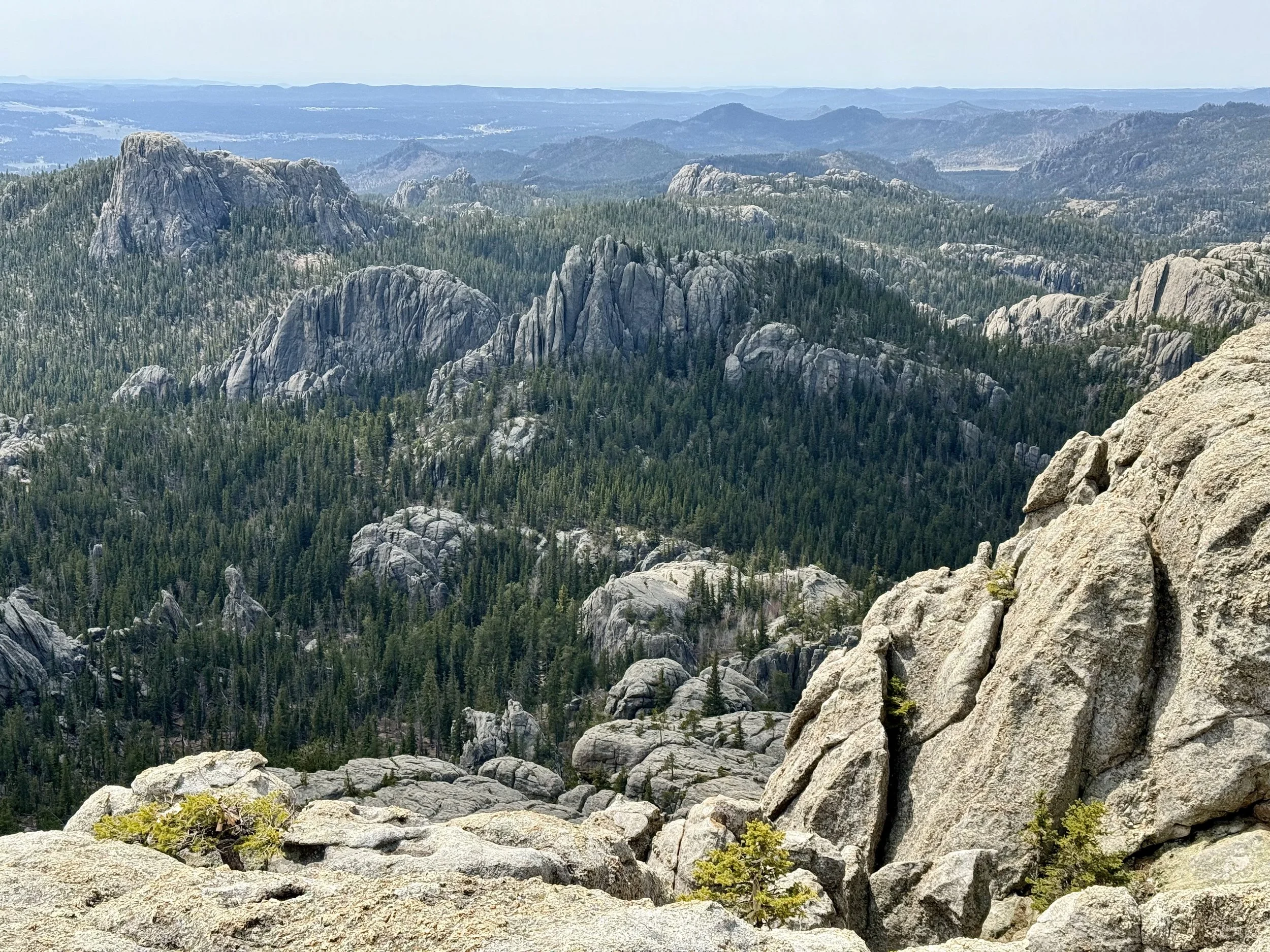 SouthDakotaRoadtrip-CusterStatePark-BlackElkPeak-LittleDevilsTower-12.jpeg
