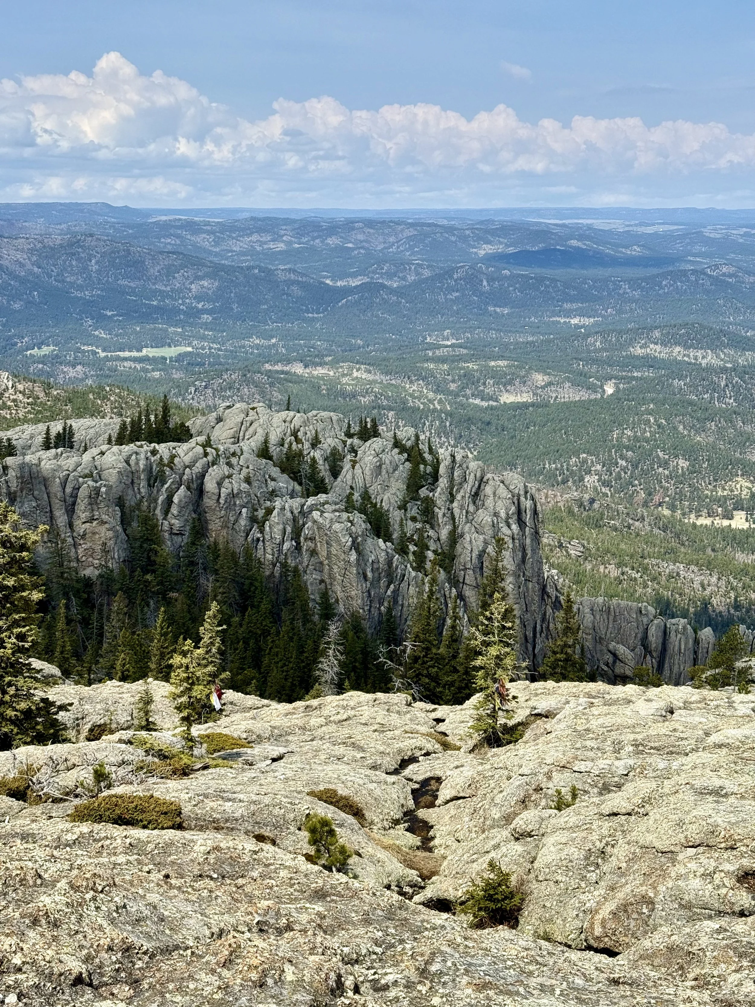 SouthDakotaRoadtrip-CusterStatePark-BlackElkPeak-LittleDevilsTower-13.jpeg