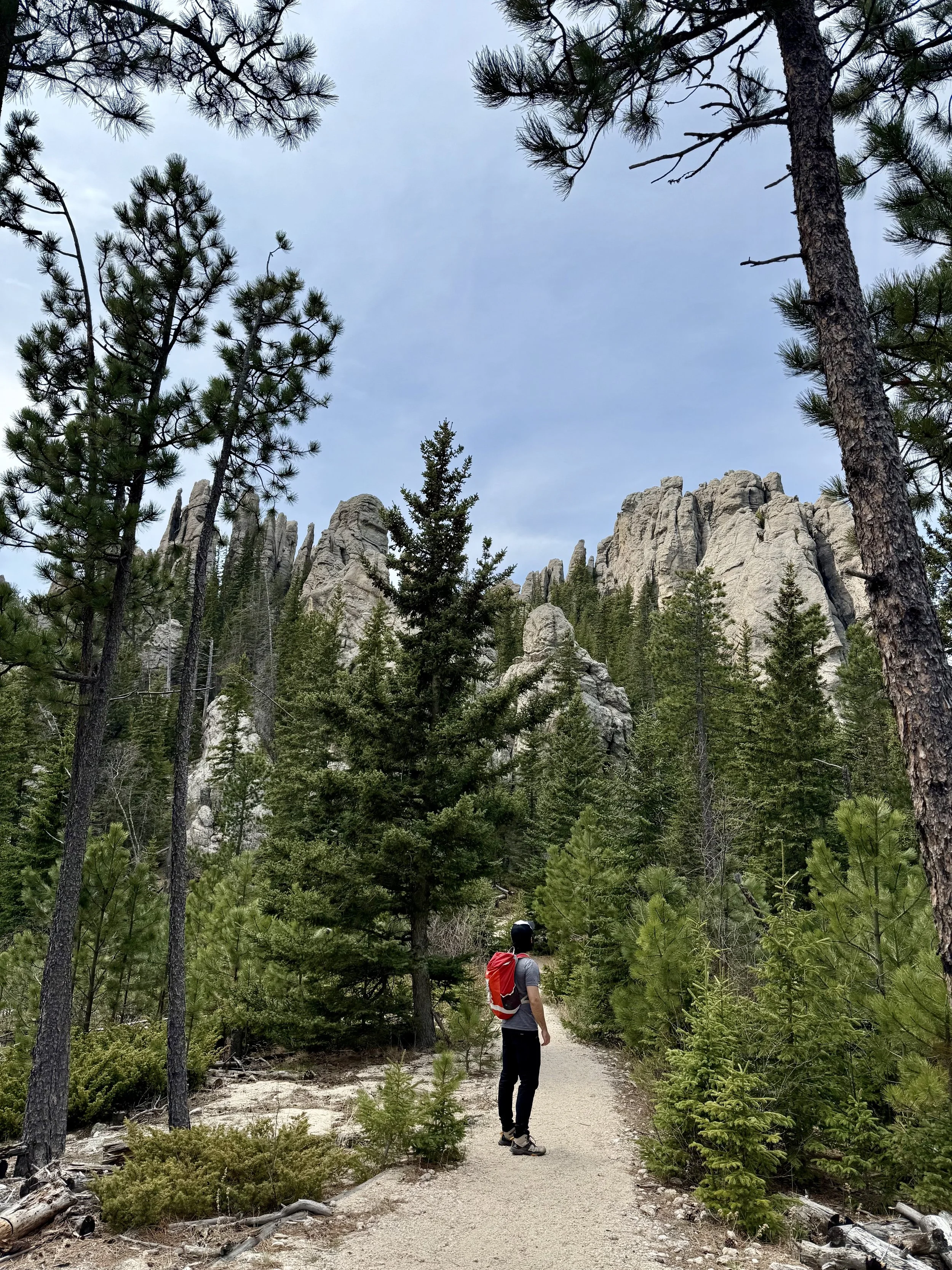 SouthDakotaRoadtrip-CusterStatePark-BlackElkPeak-LittleDevilsTower-16.jpeg