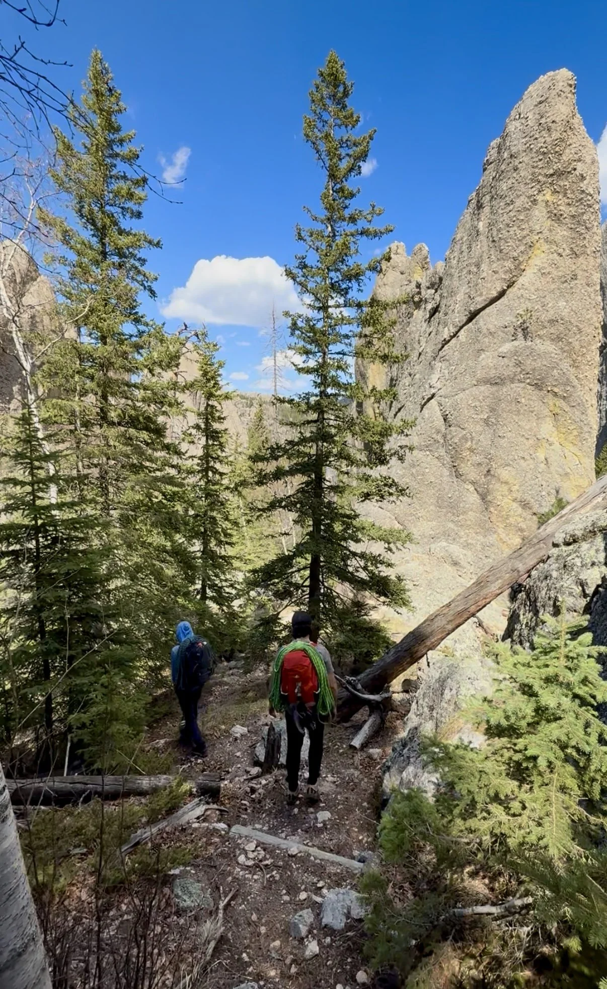 SouthDakotaRoadtrip-CusterStatePark-SylvanRocksClimbing-1.jpg