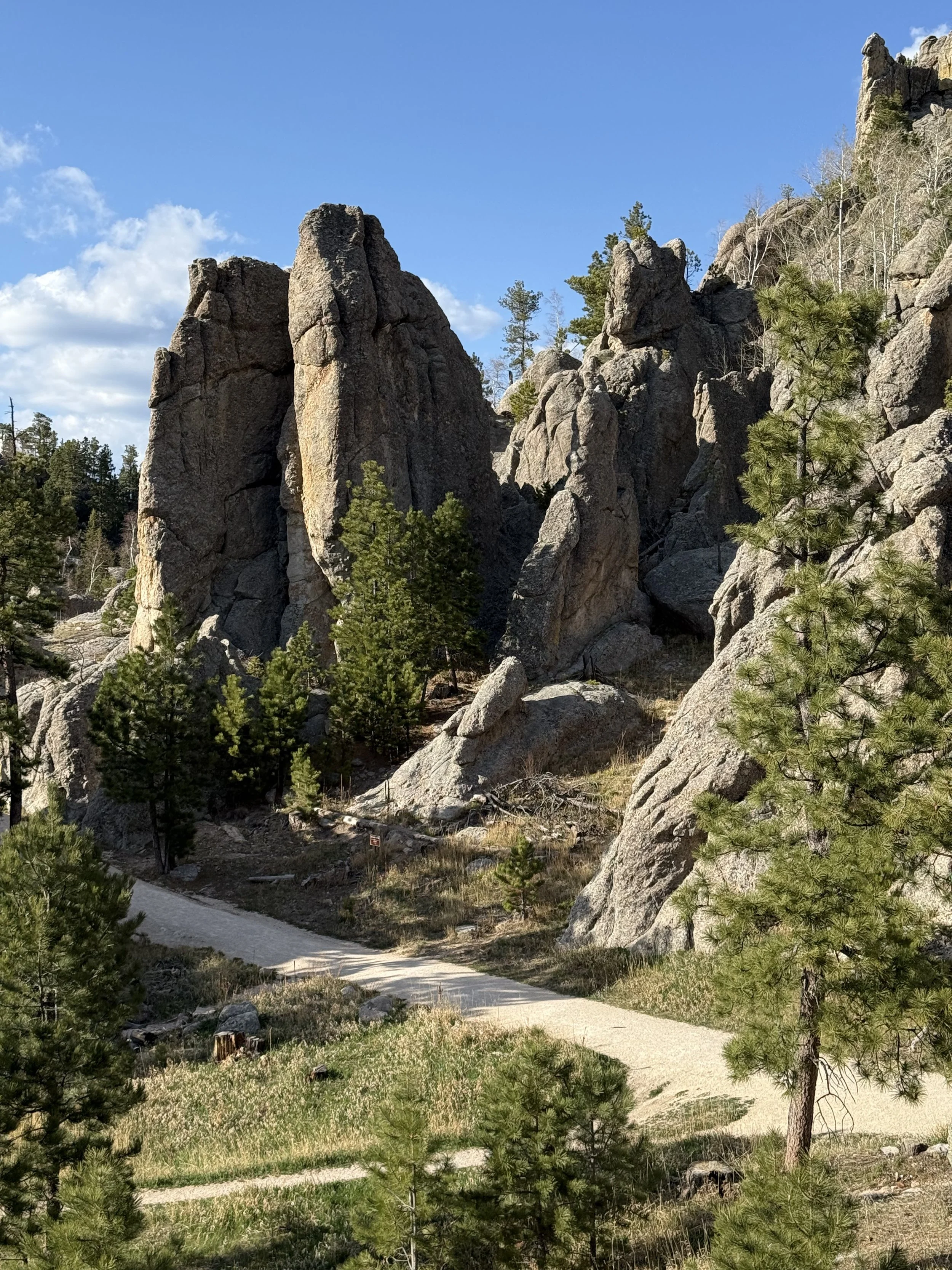 SouthDakotaRoadtrip-CusterStatePark-SylvanLake-LoopTrail-10.jpeg
