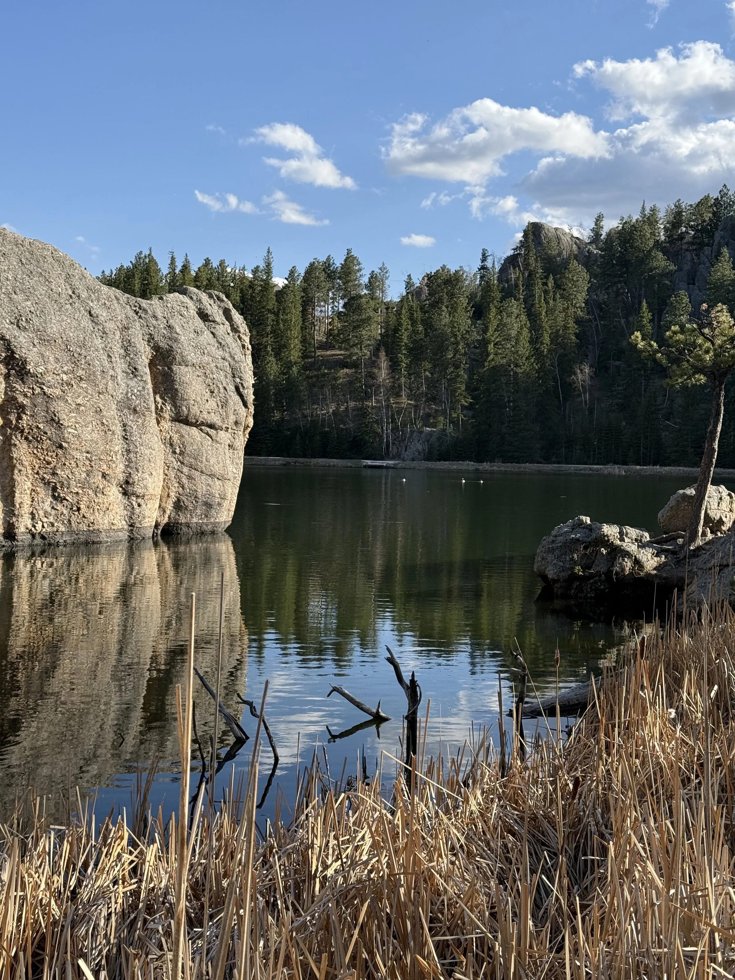 SouthDakotaRoadtrip-CusterStatePark-SylvanLake-LoopTrail-11.jpeg