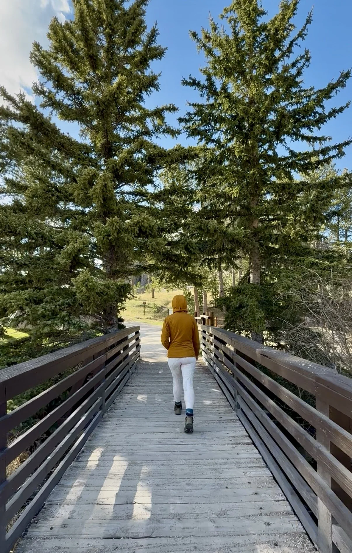 SouthDakotaRoadtrip-CusterStatePark-SylvanLake-LoopTrail3.jpg