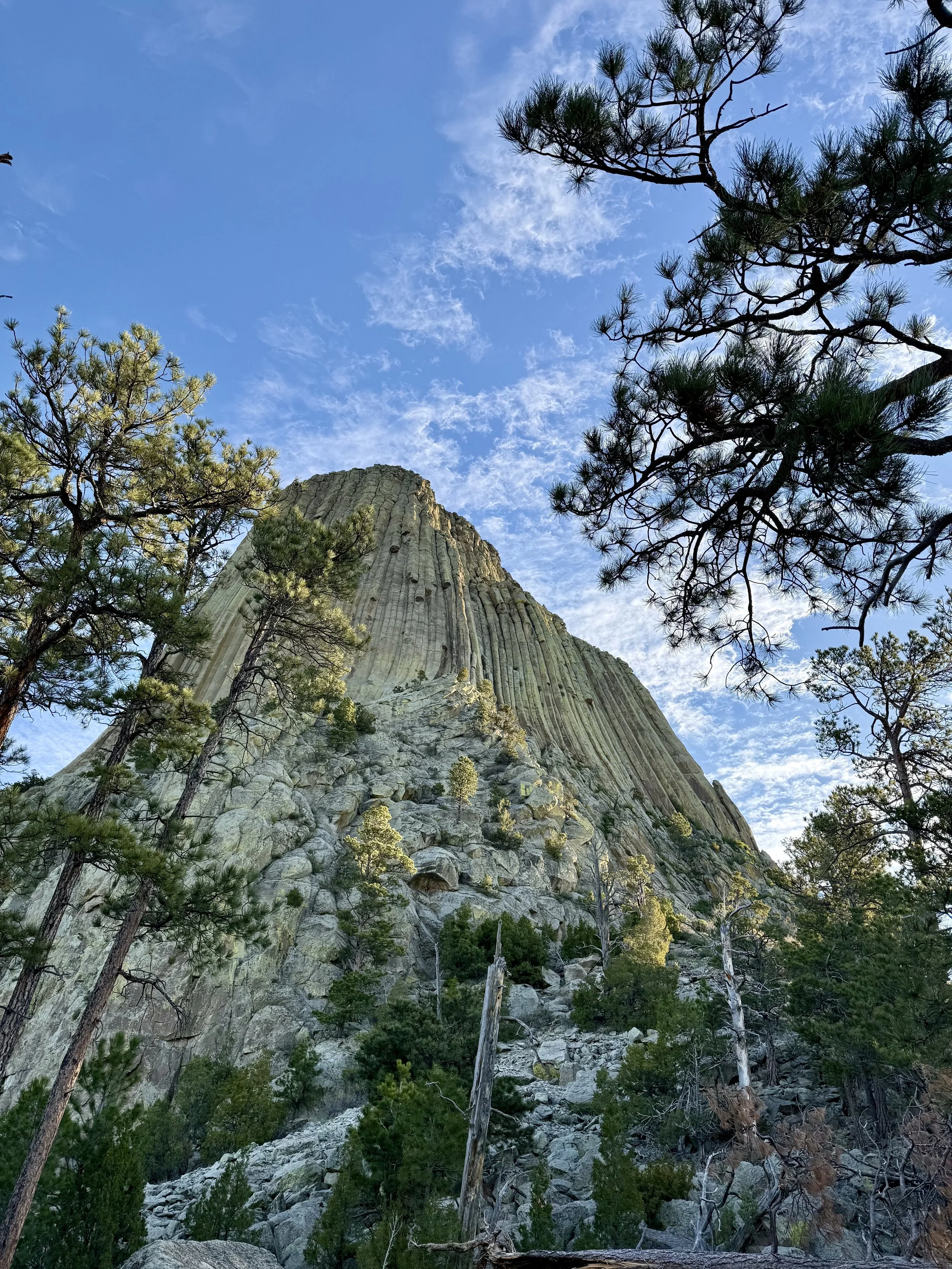SouthDakotaRoadtrip-Wyoming-DevilsTower-Climbing19.jpeg