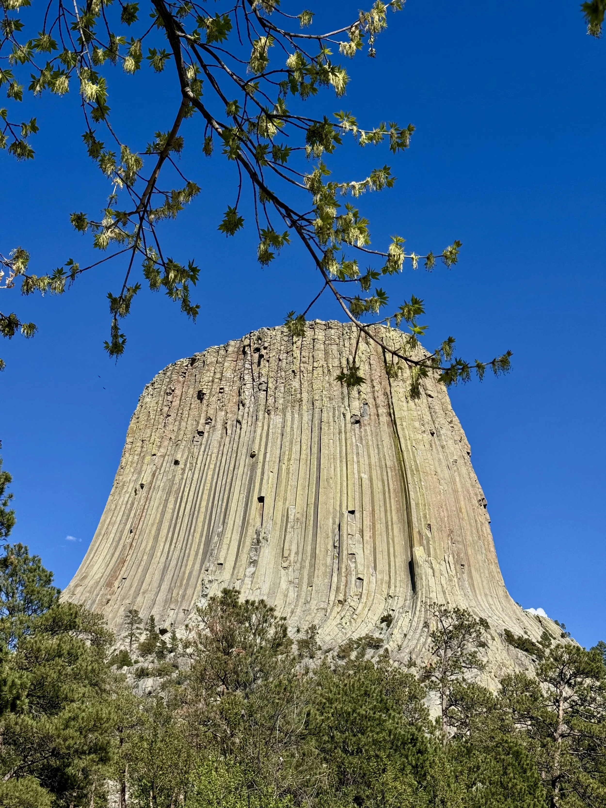 SouthDakotaRoadtrip-Wyoming-DevilsTower-Climbing29.jpeg
