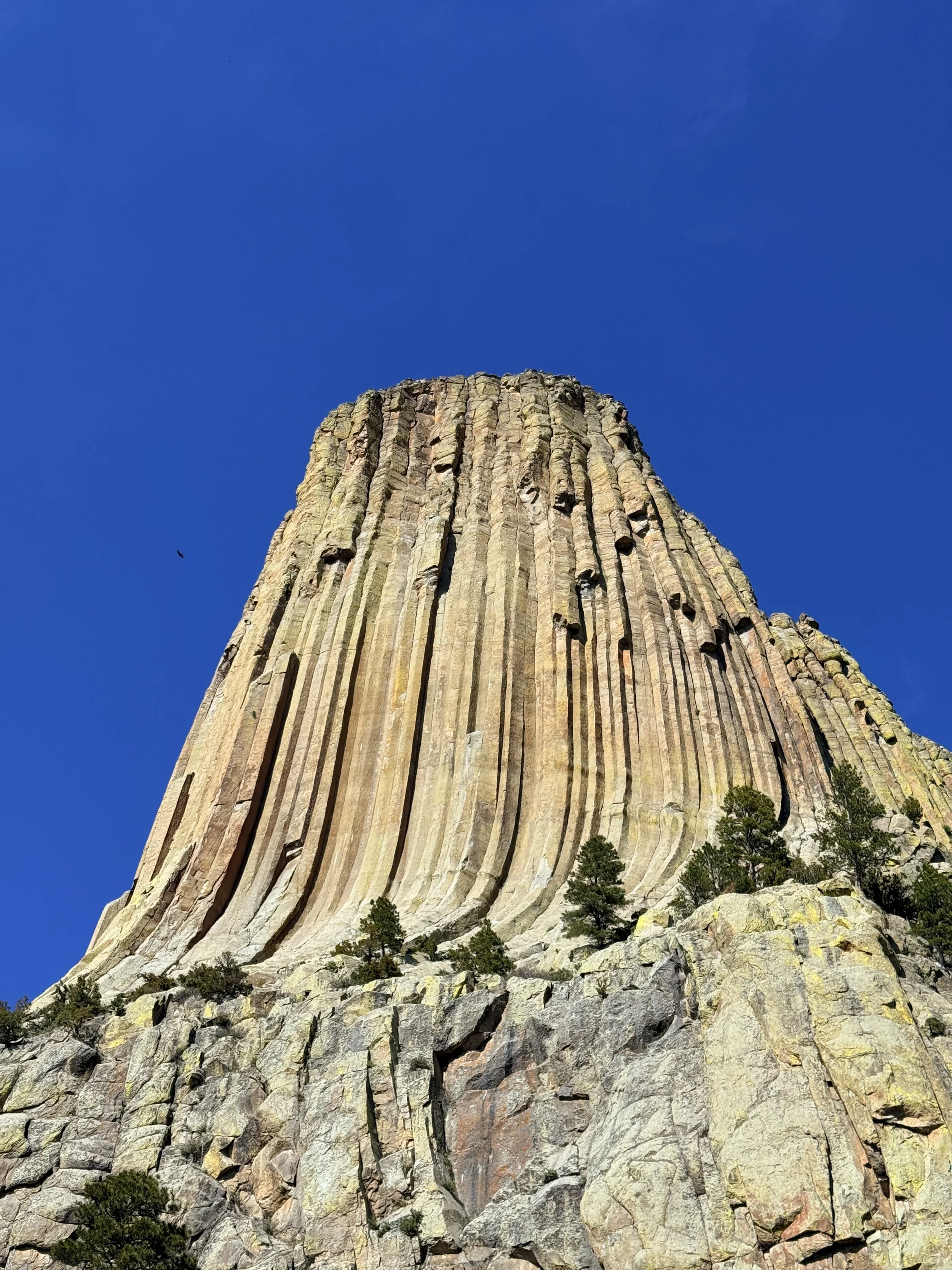 SouthDakotaRoadtrip-Wyoming-DevilsTower-Climbing9.jpeg