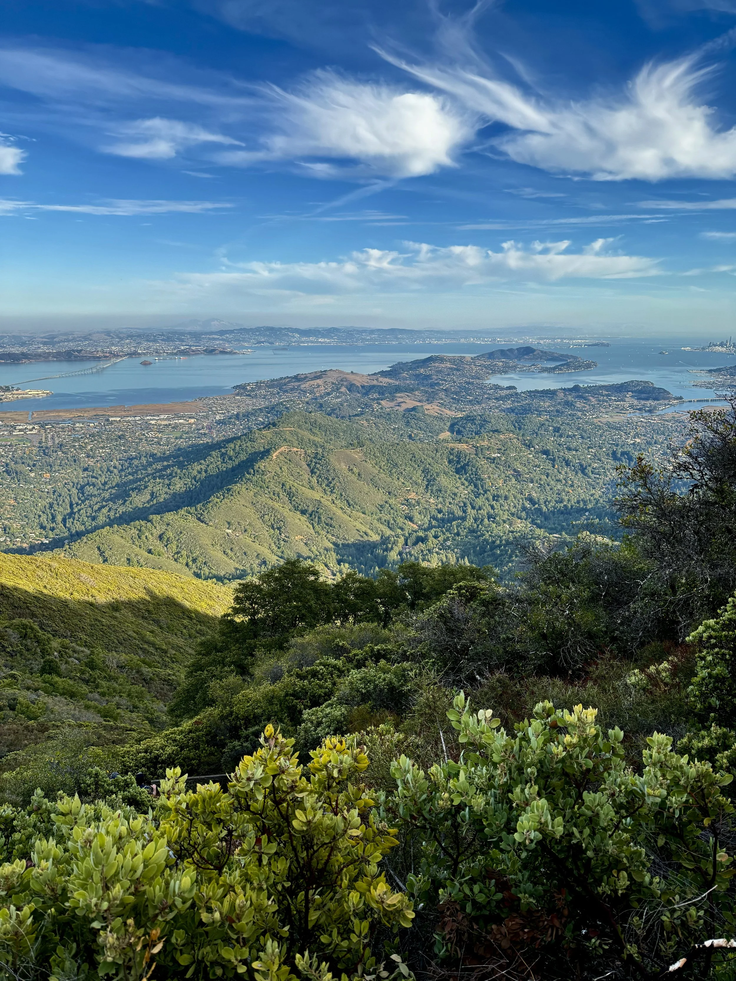 BayArea-DayTrips-MountTamalpais-5.jpeg
