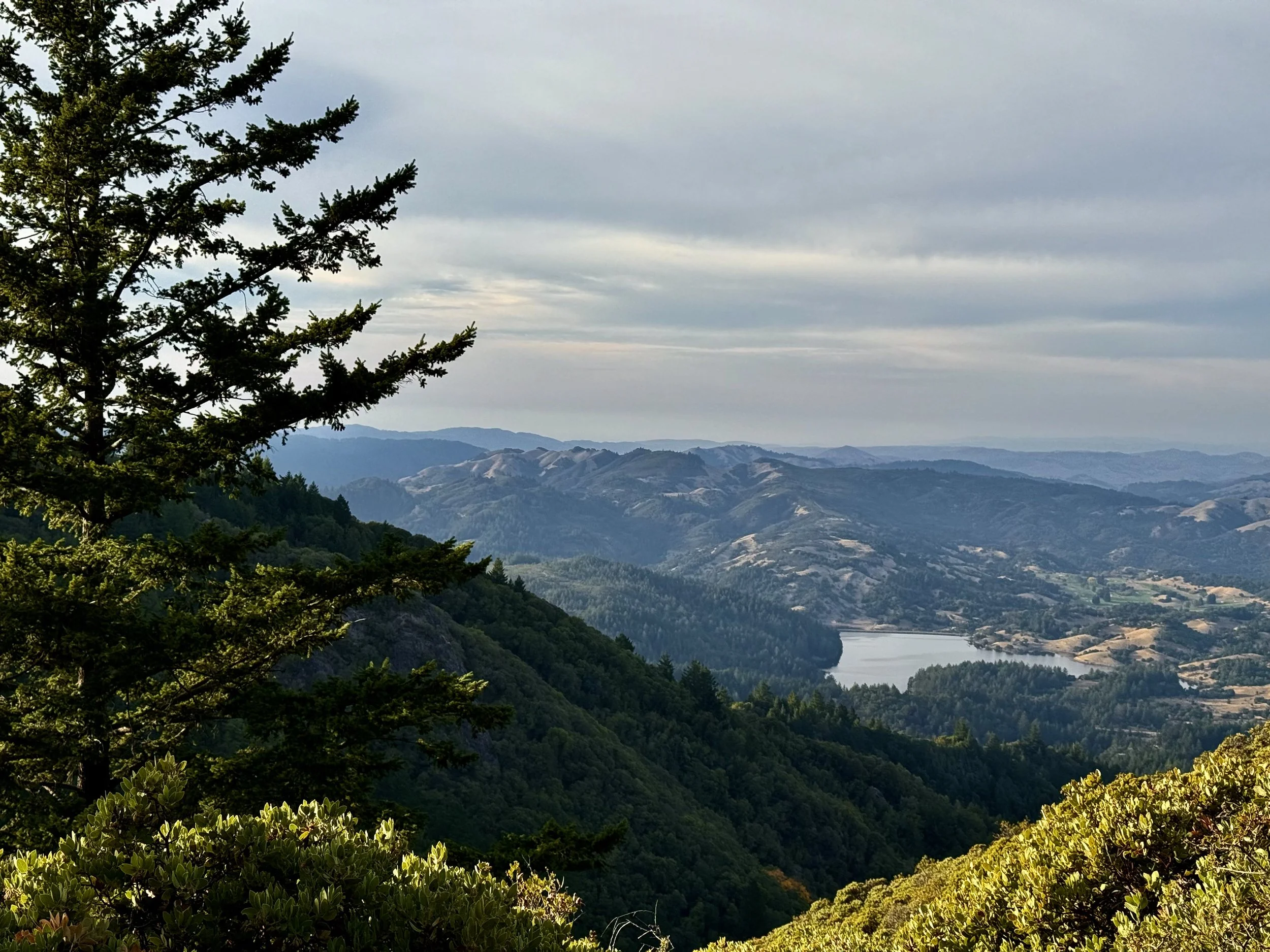 BayArea-DayTrips-MountTamalpais-7.jpeg