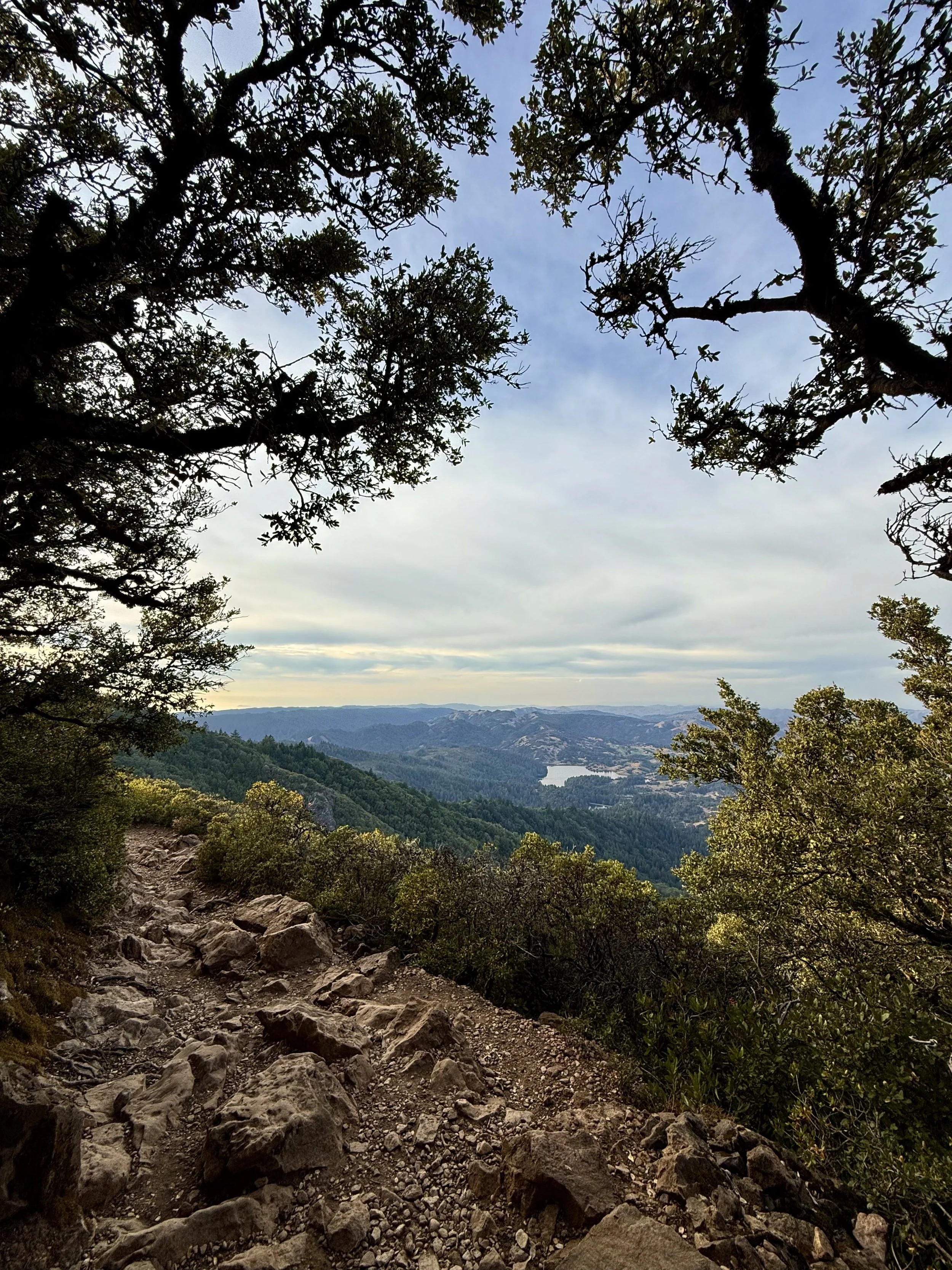 BayArea-DayTrips-MountTamalpais-8.jpeg