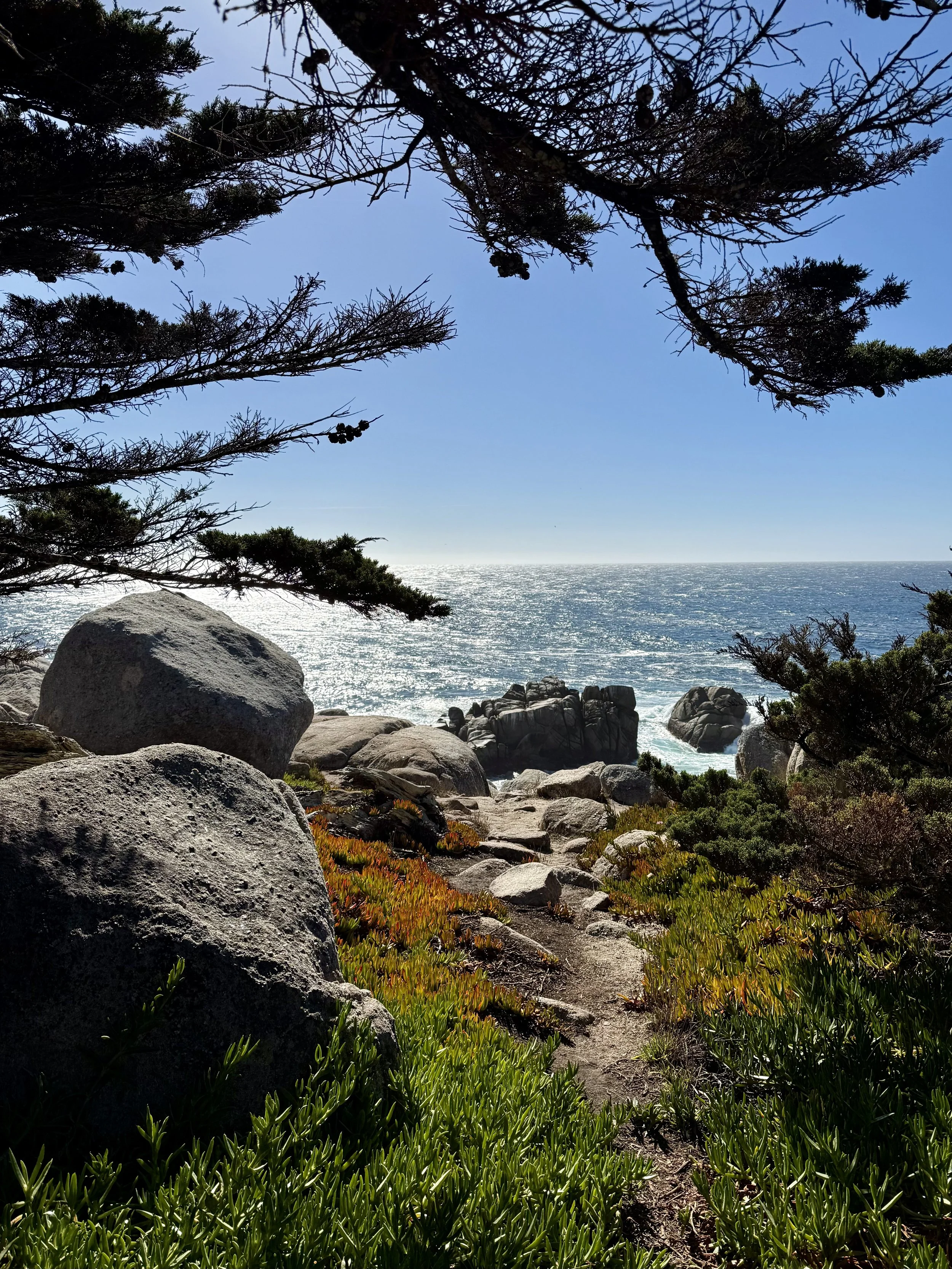 BayArea-DayTrips-17MileDrive-1.jpeg
