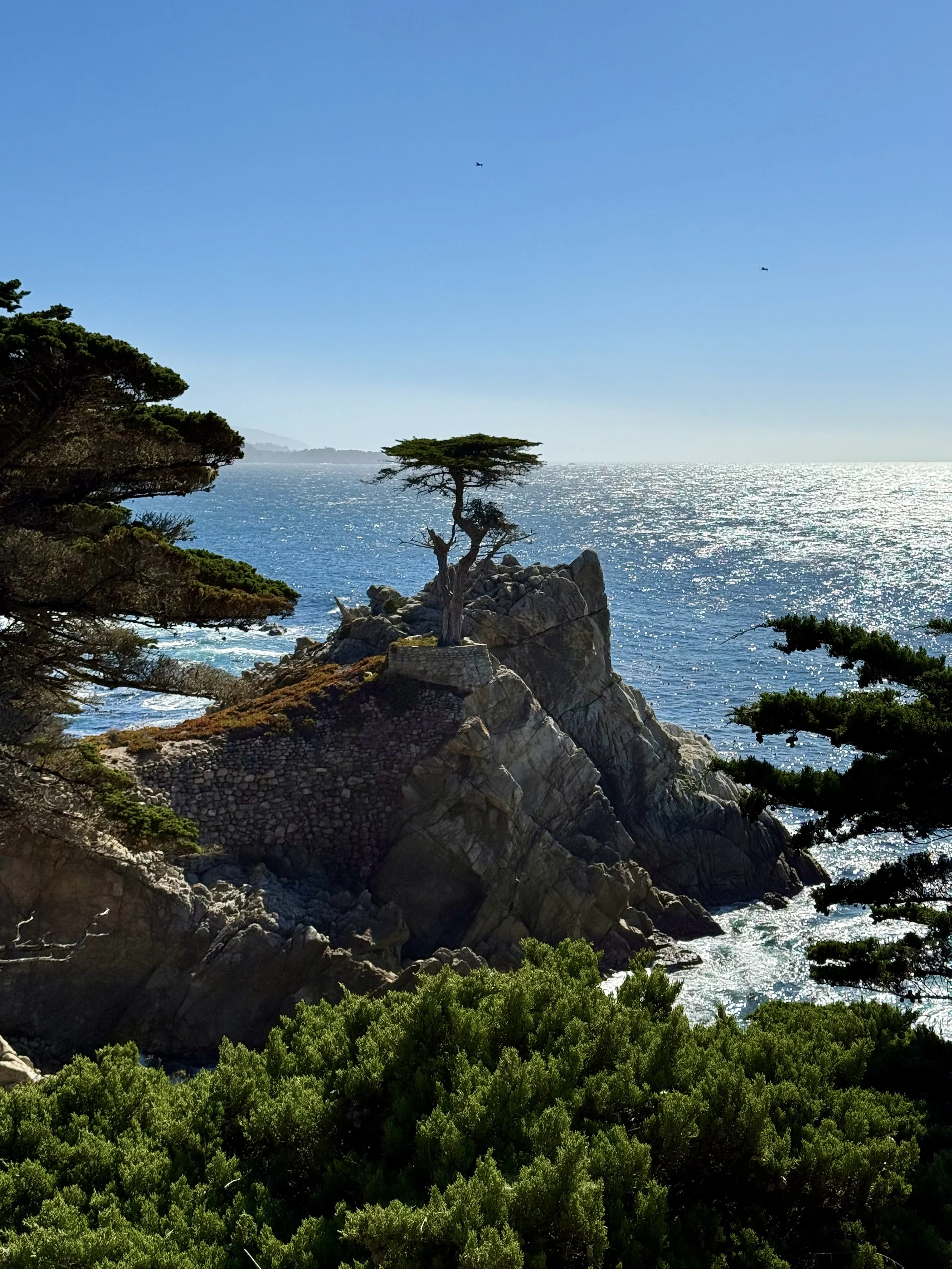BayArea-DayTrips-17MileDrive-4.jpeg
