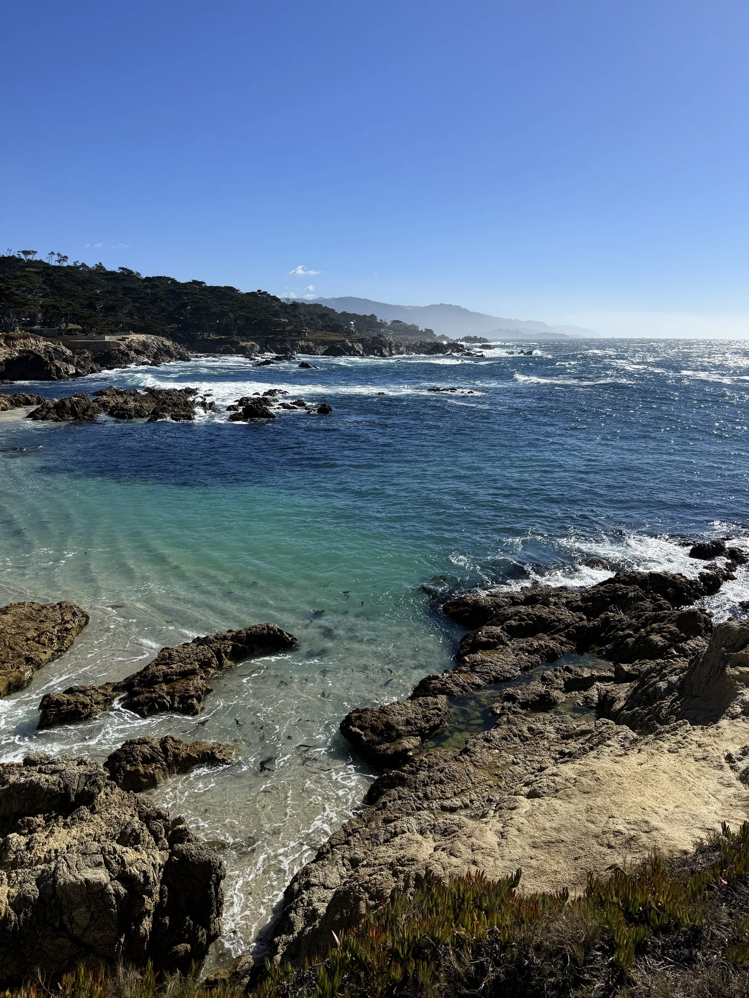 BayArea-DayTrips-17MileDrive-11.jpeg