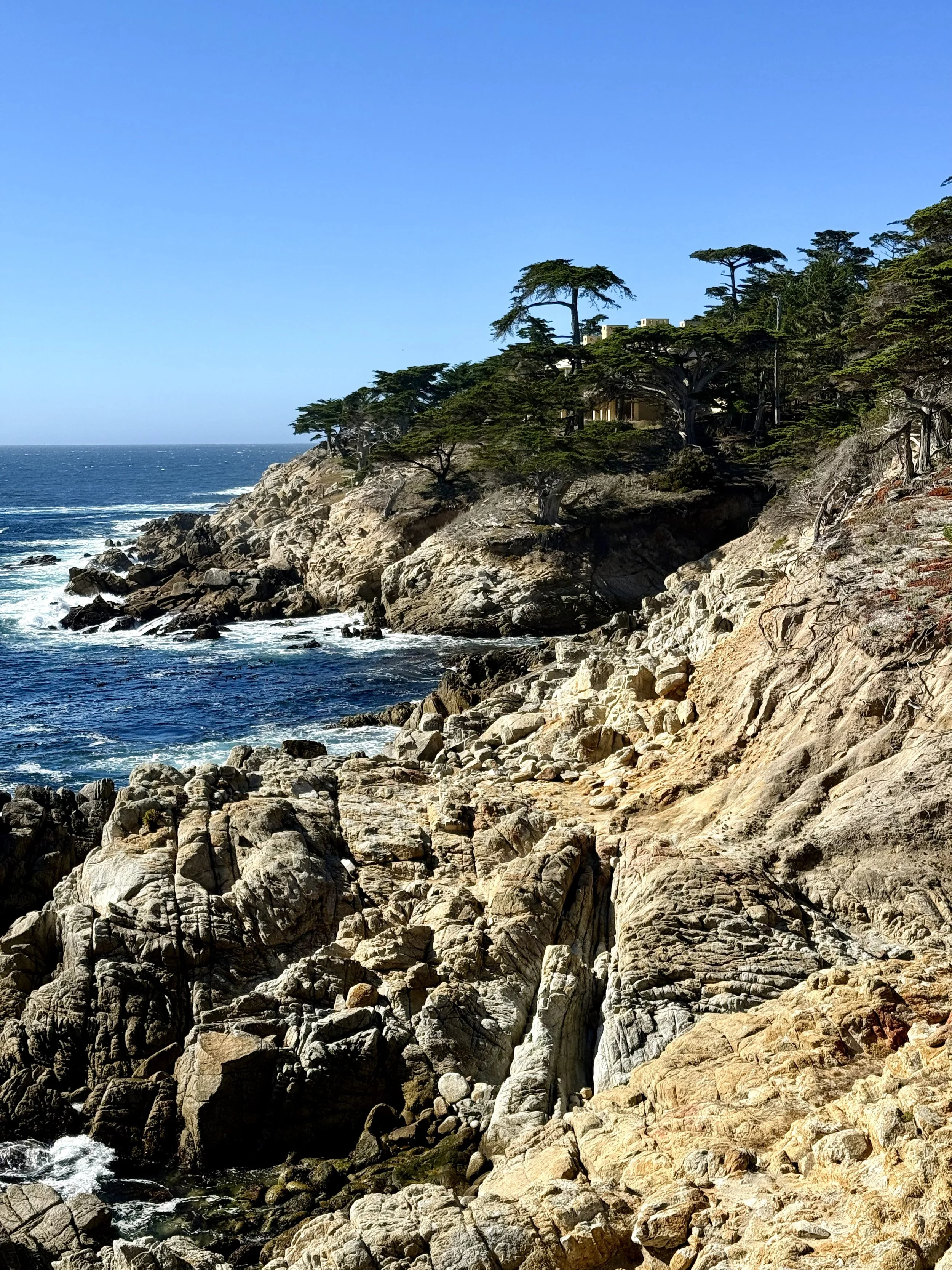BayArea-DayTrips-17MileDrive-13.jpeg