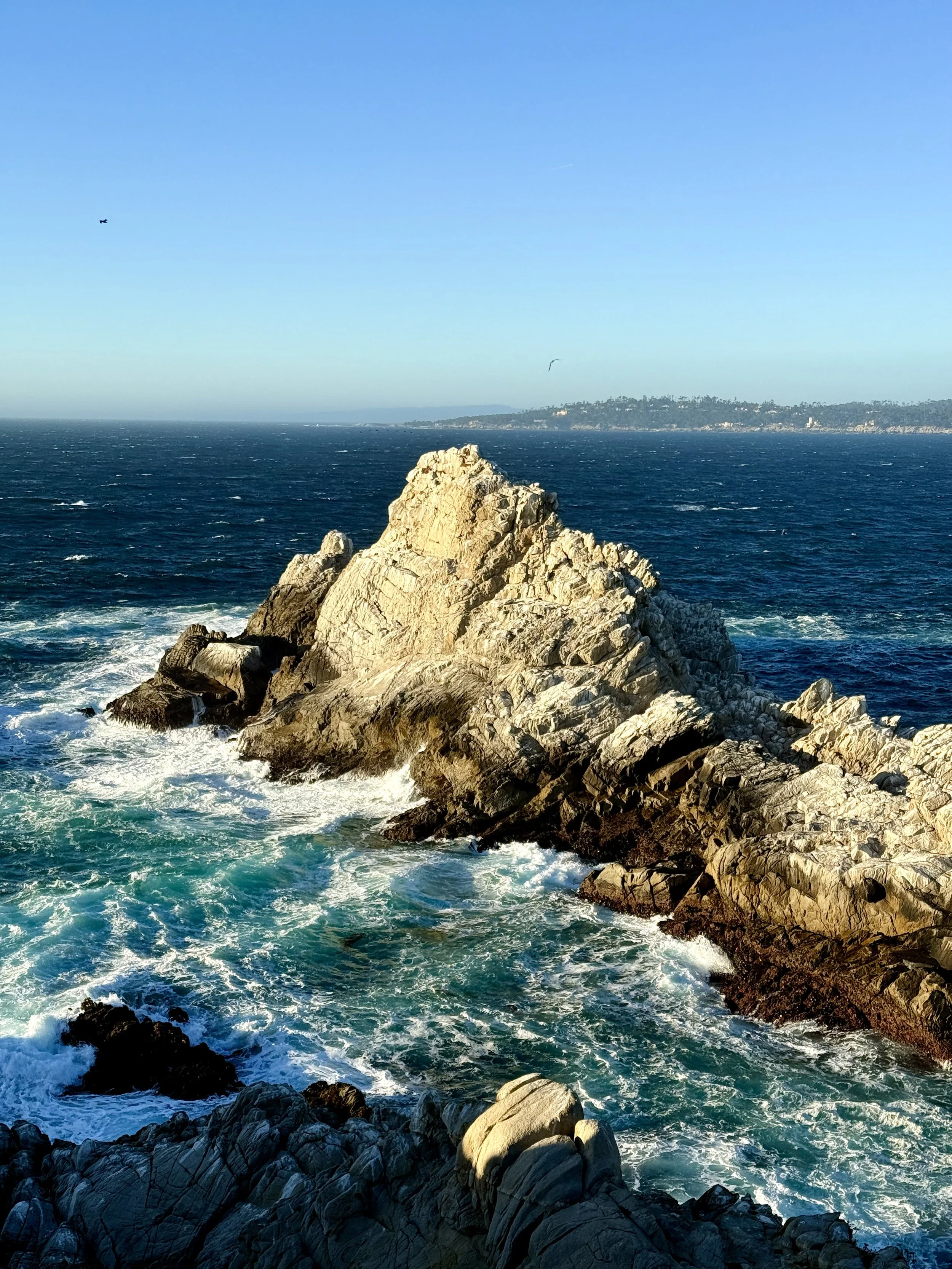 BayArea-DayTrips-PointLobosStateNaturalReserve-30.jpeg