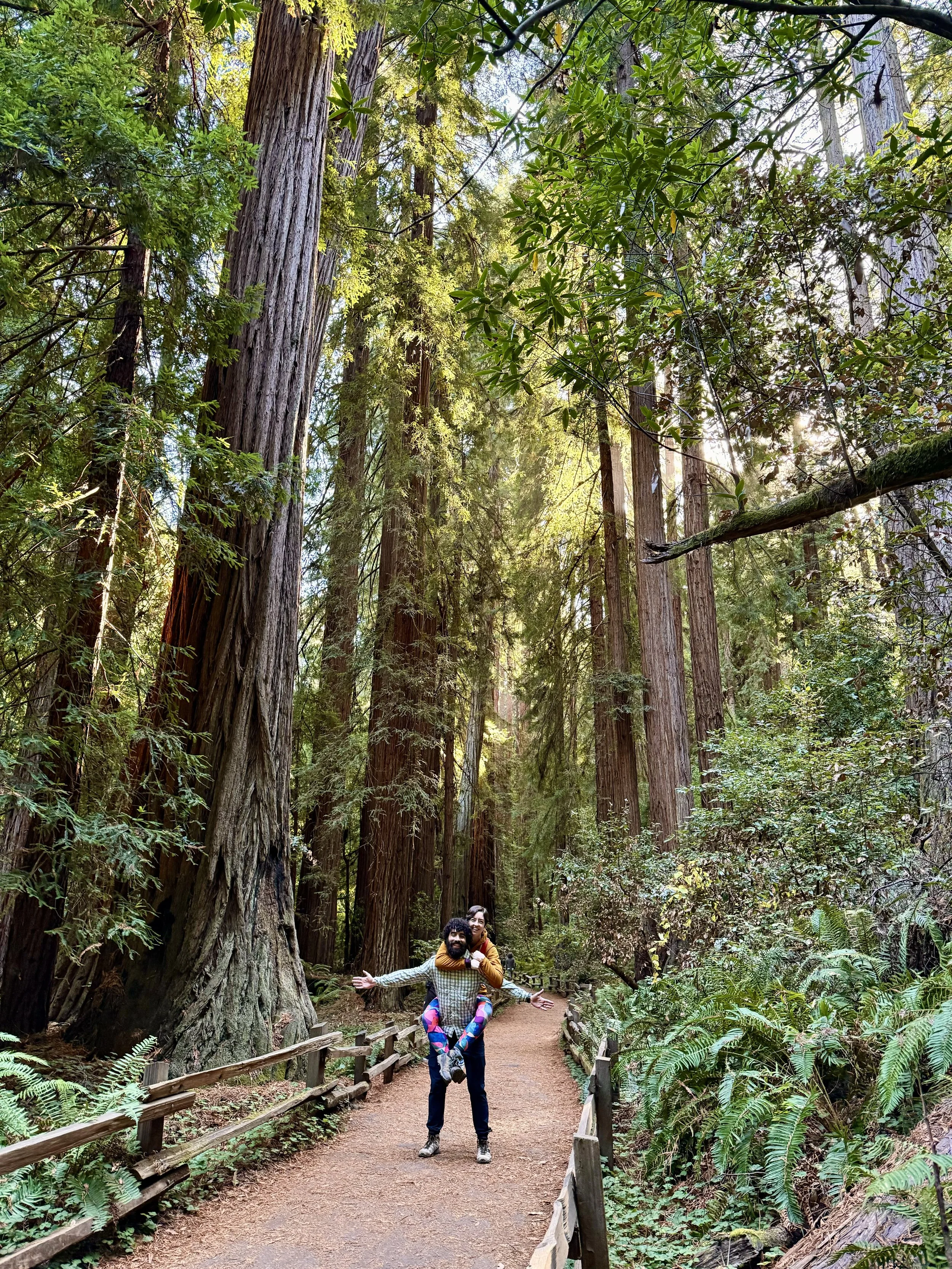 BayArea-DayTrips-MuirWoodsNationalMonument-7.jpeg