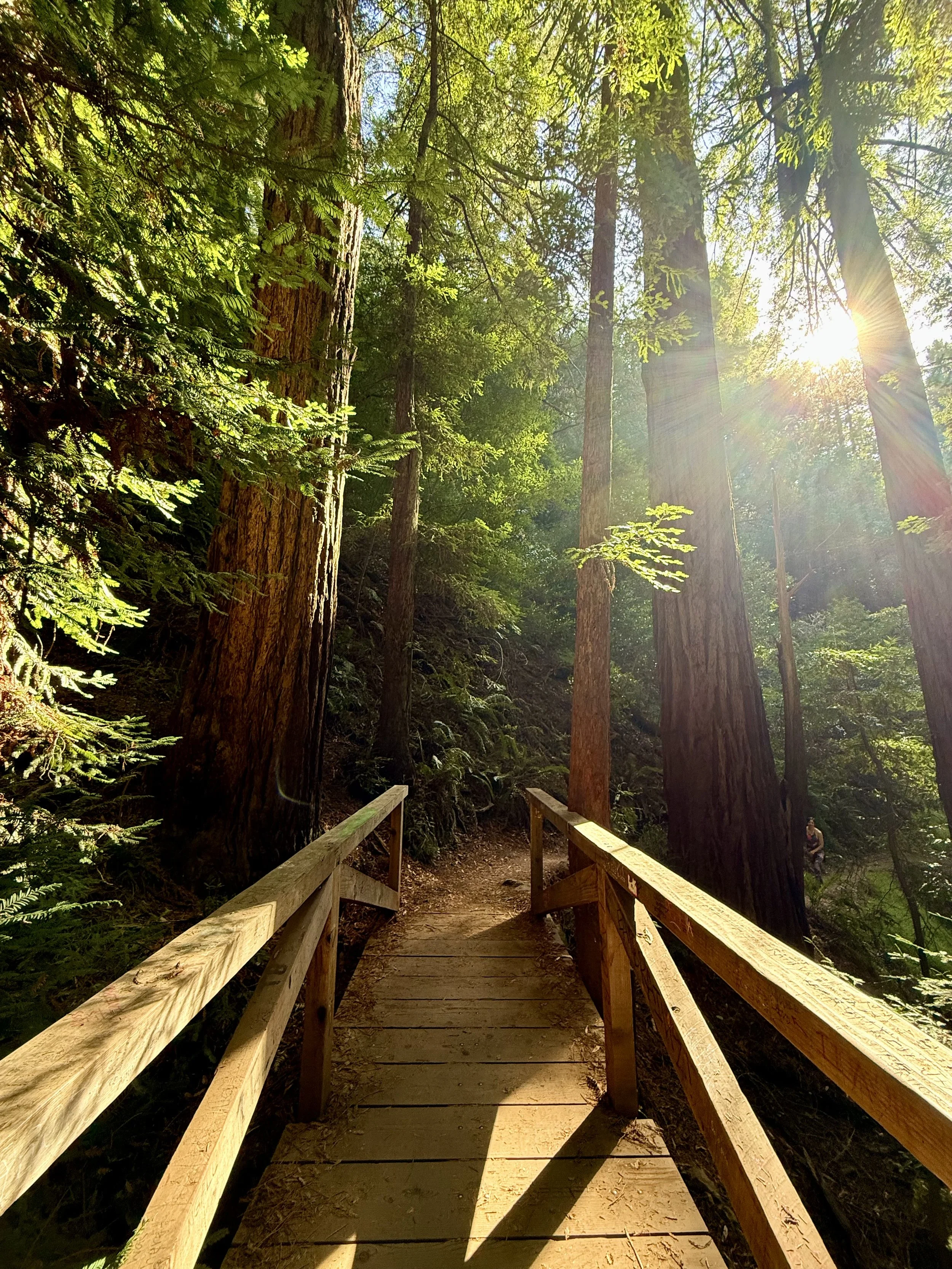 Best Hiking Day Trips in the Bay Area